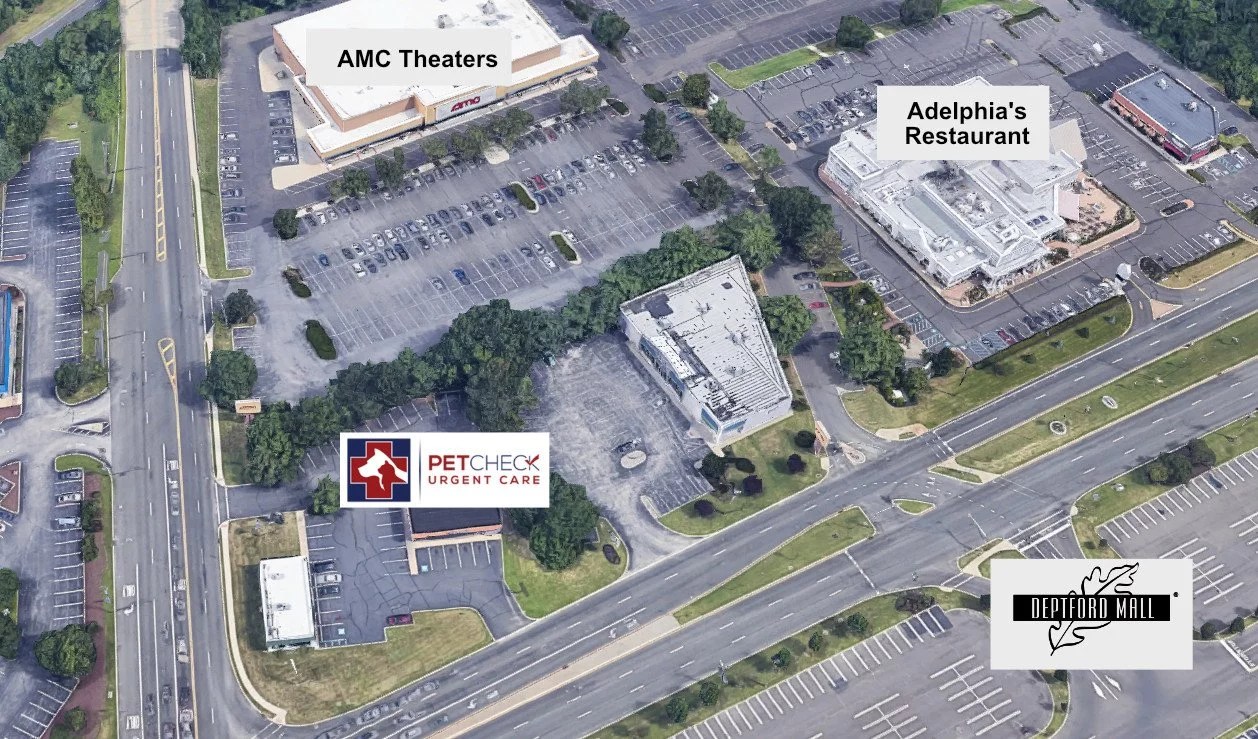 petcheck urgent care deptford is open photo tour - 42 freeway on pet check urgent care locations