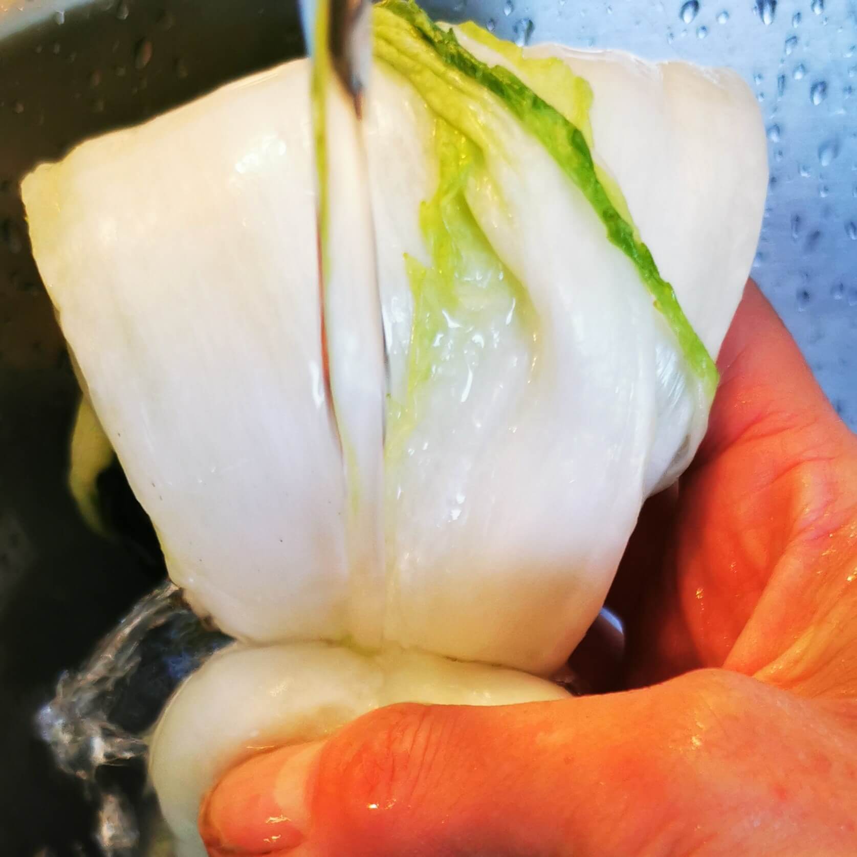 Kimchi_Chinakohl_spülen