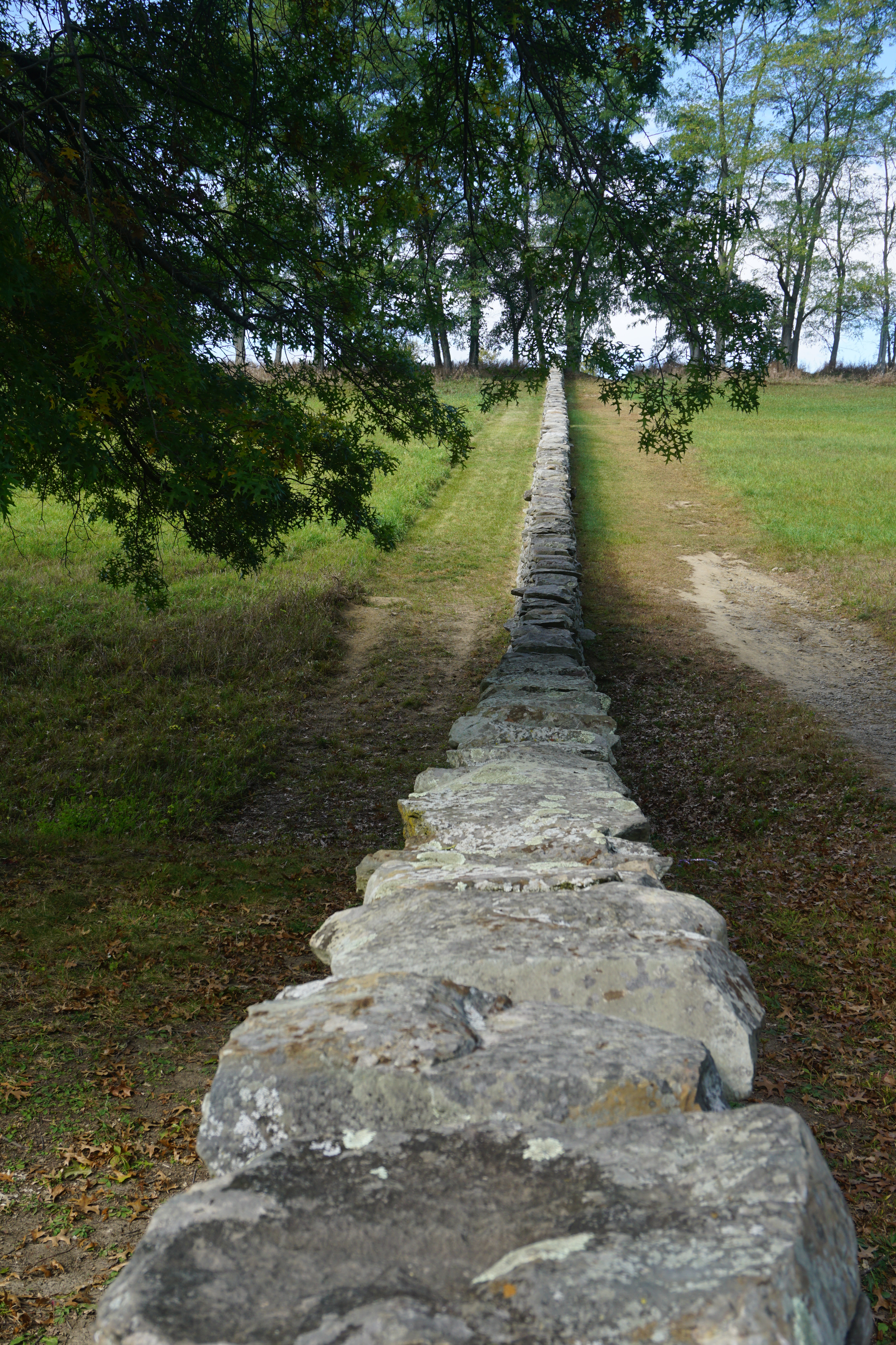 Andy Goldsworthy Wall