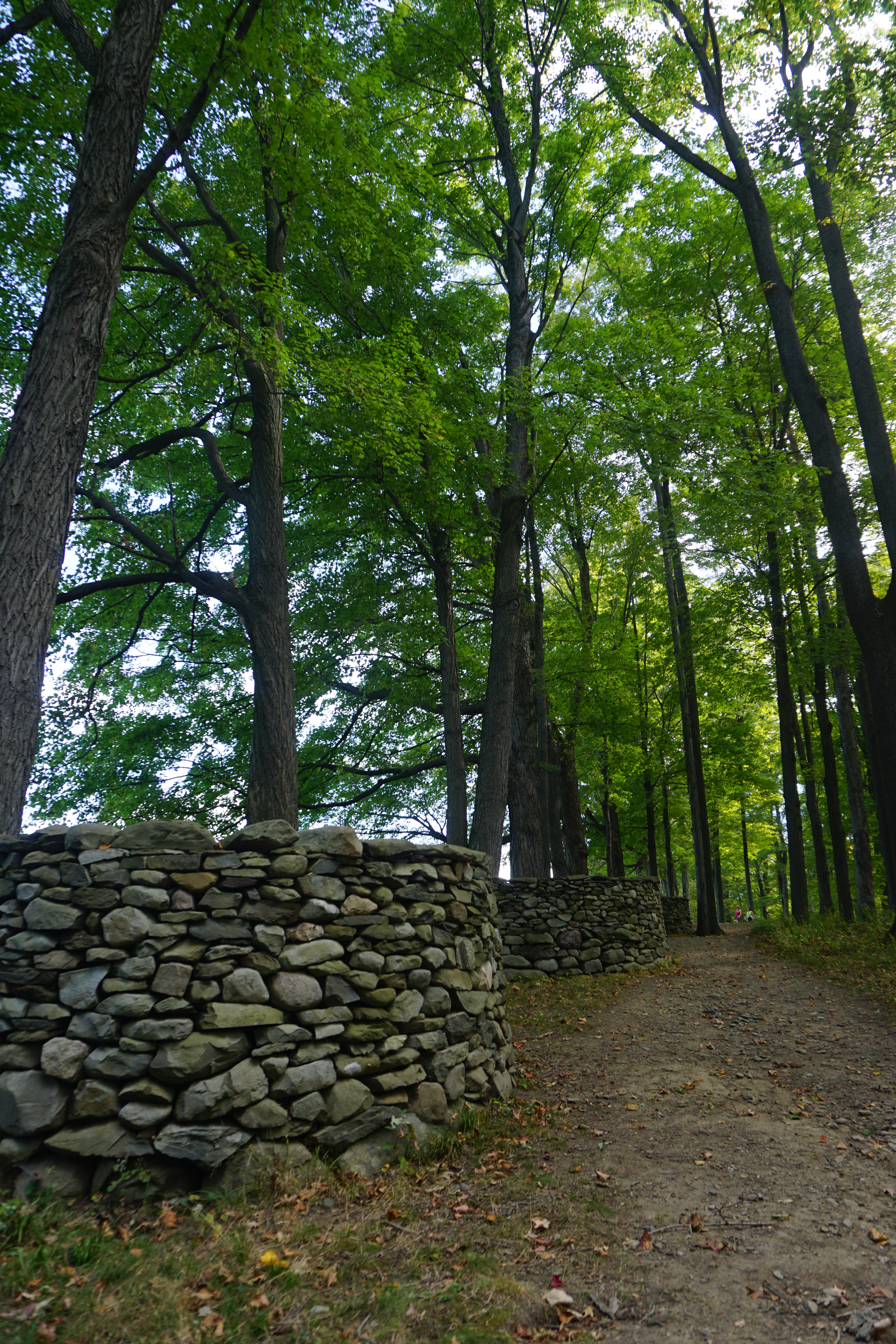 Andy Goldsworthy Serpentine Wall