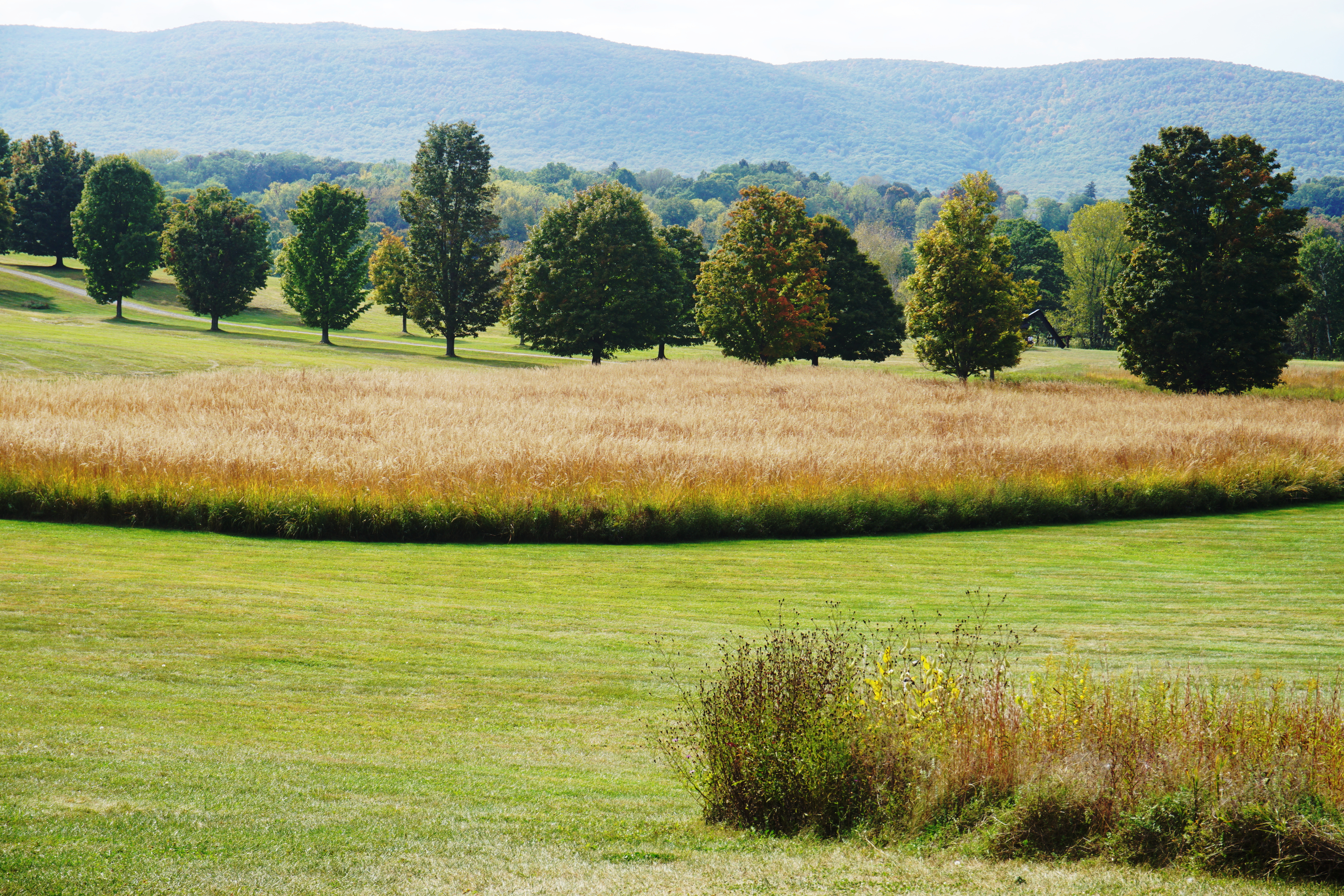 Storm King, NY