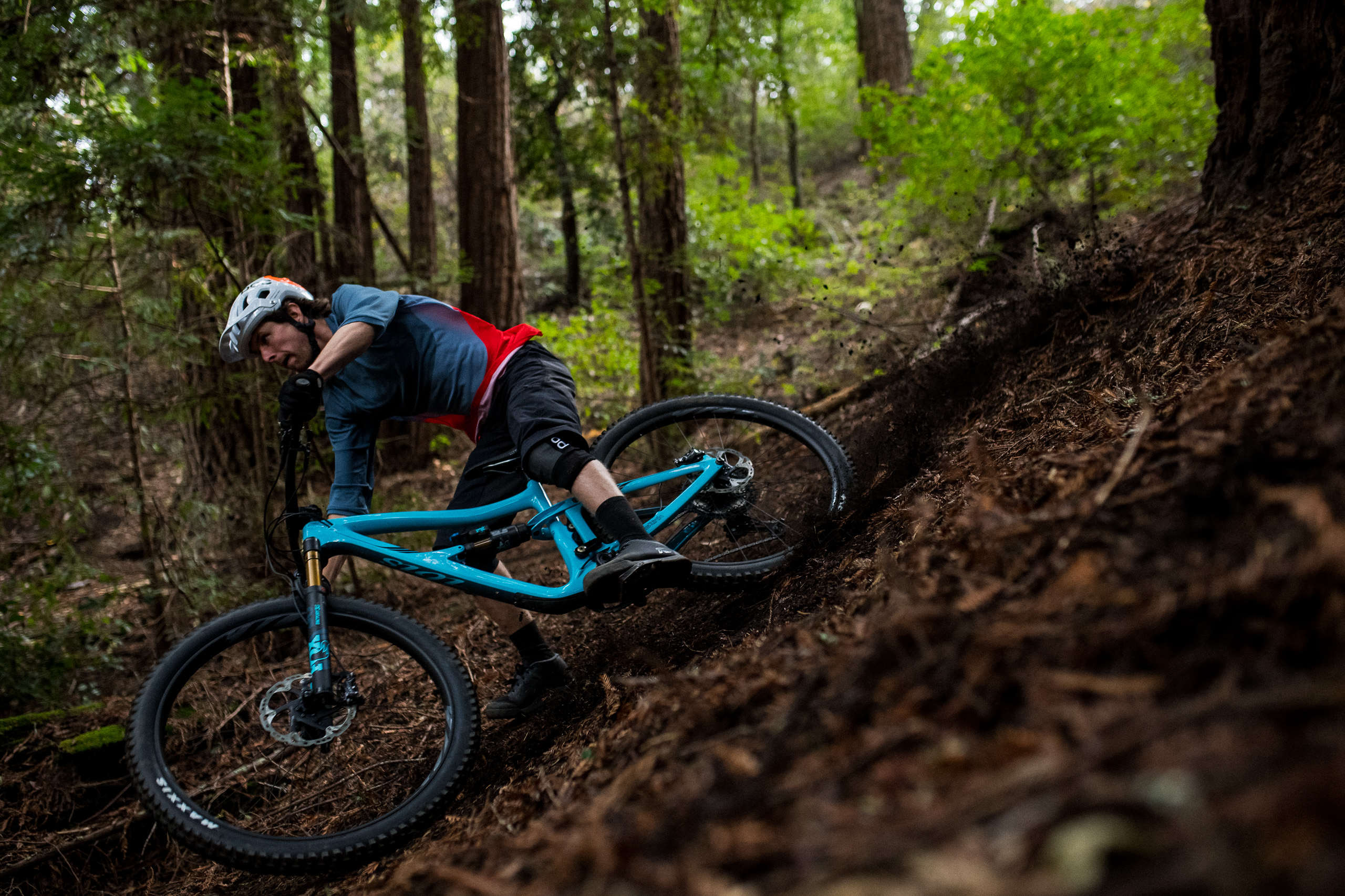 Ibis Cycles – 4Guimp