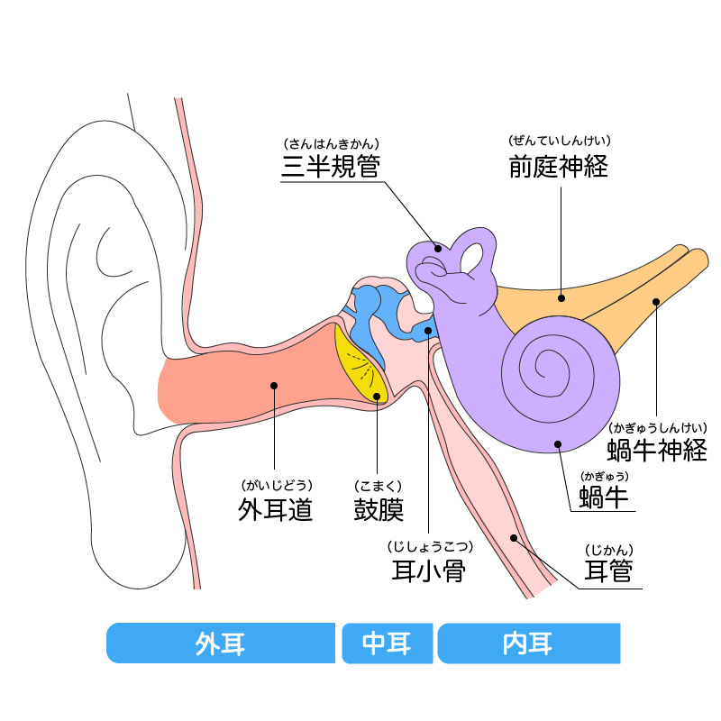 人工内耳とは