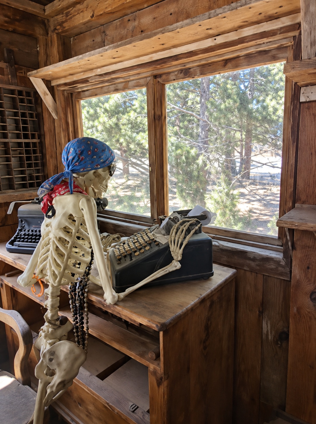 Roy the skeleton working at an old postal desk with a vintage machine near the window