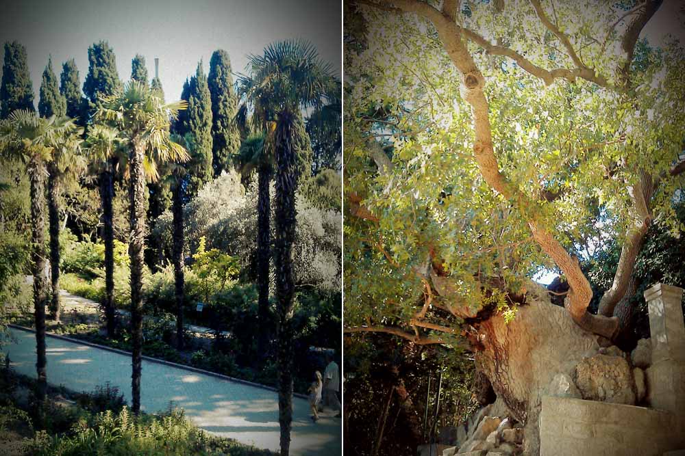 Горького (остановка «ботанический сад» по требованию), автобусы 46в, 107, 121 маршруты Nikitskij Botanicheskij Sad Kak Dobratsya