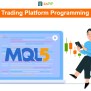 Forex Trading Platform Programming MQL5