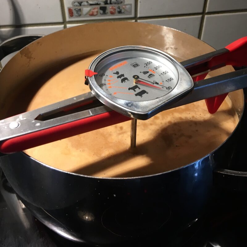 pasteurisieren