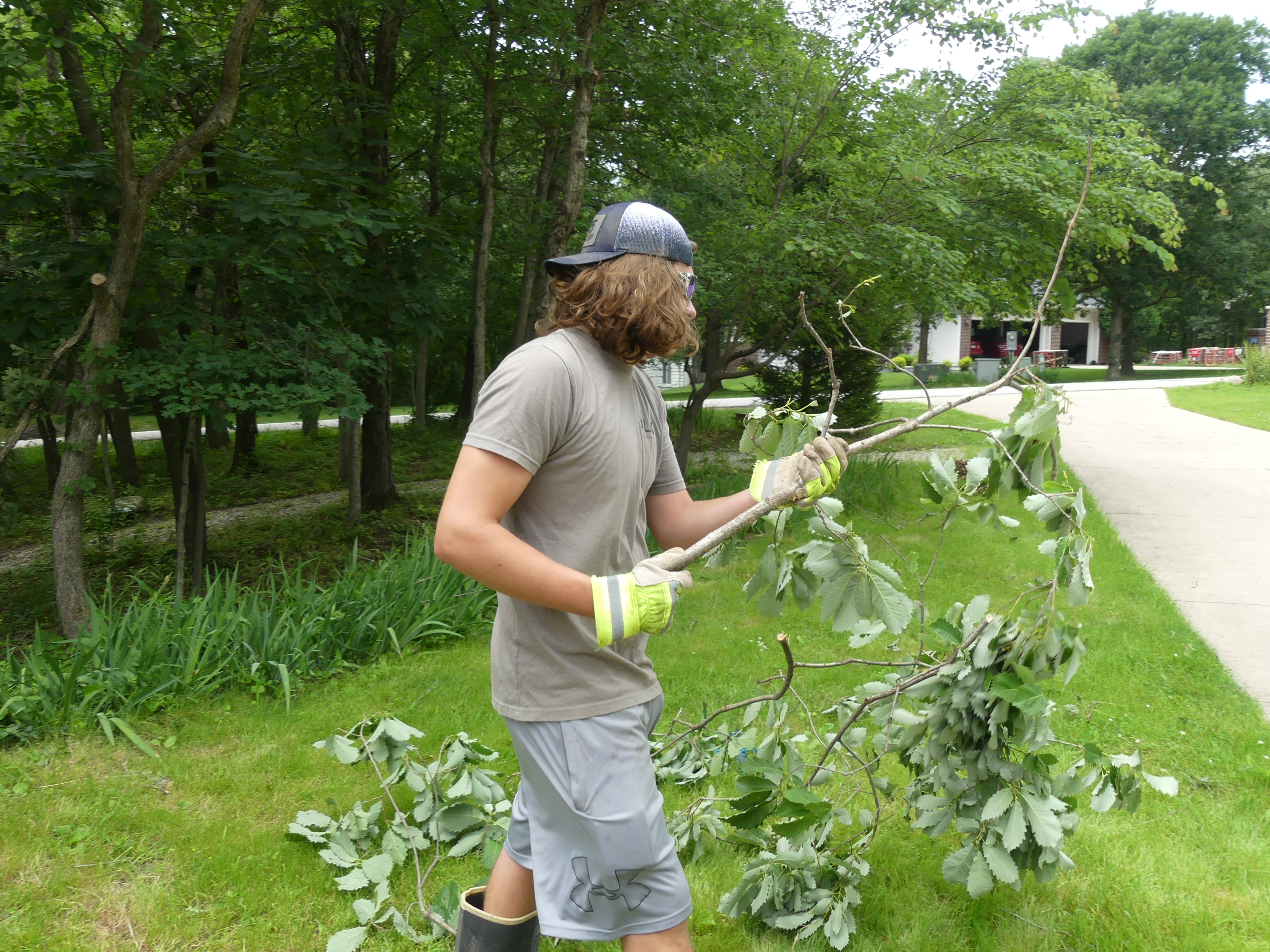 515 Haul & Demo worker carrying a large leafy oak branch across a lawn during a yard cleanup in Central Iowa