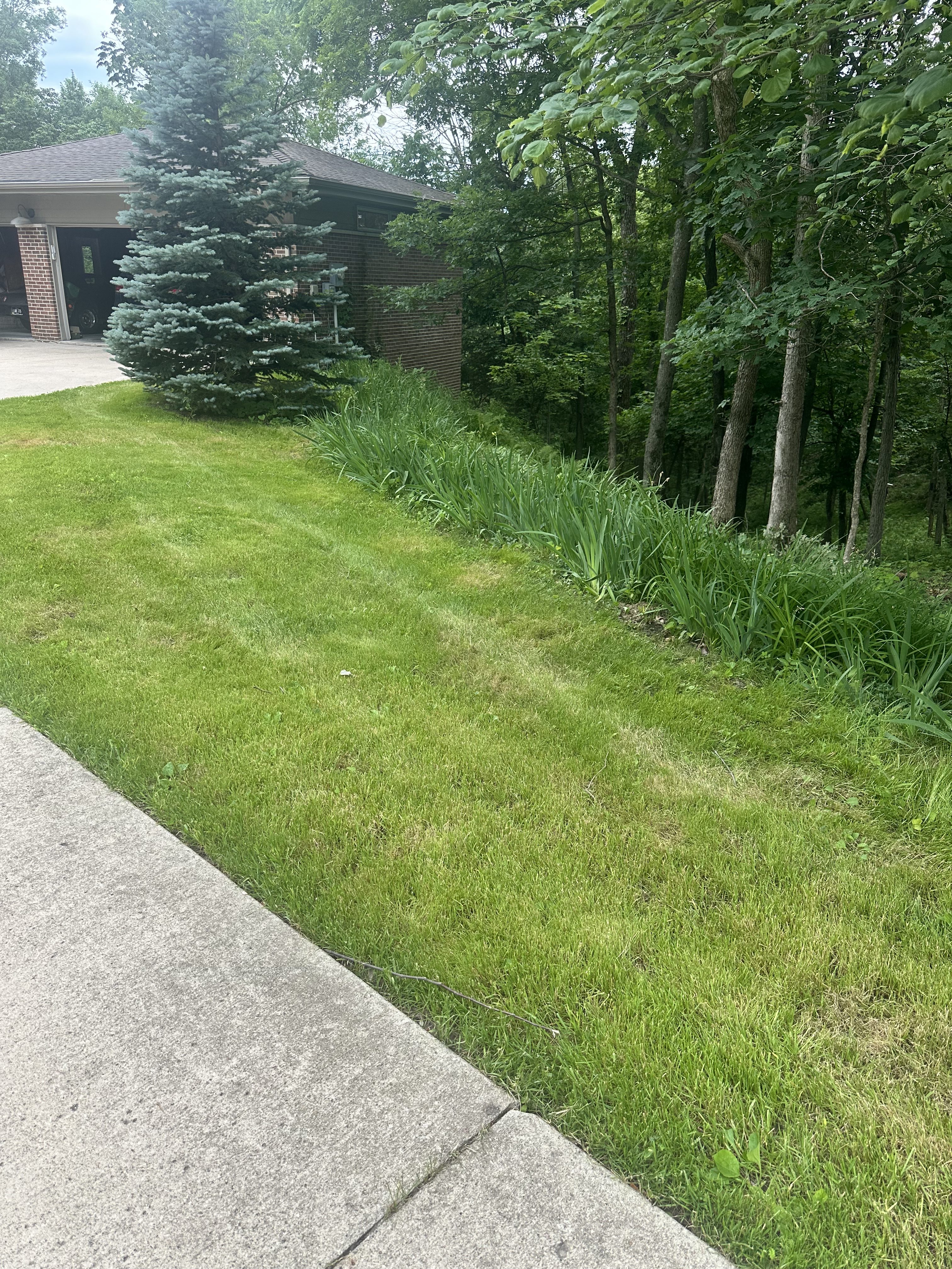 Clean, cleared lawn and driveway edge after a yard cleanup in Central Iowa