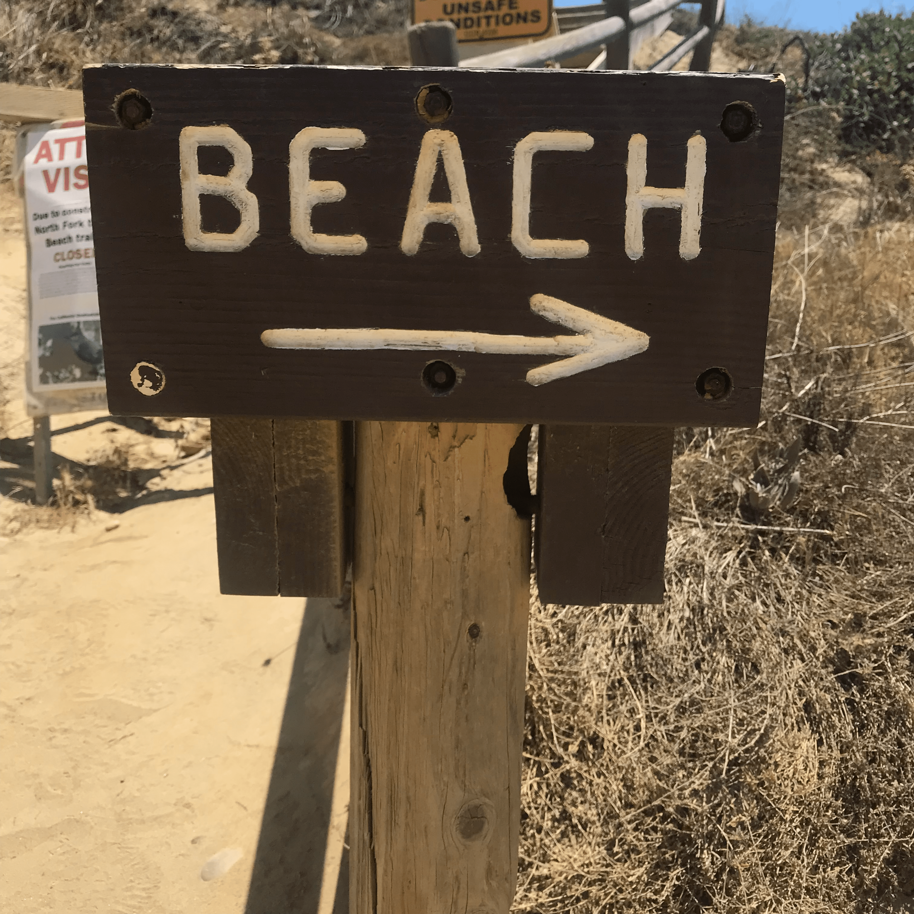 The calming effects of water on our biology.