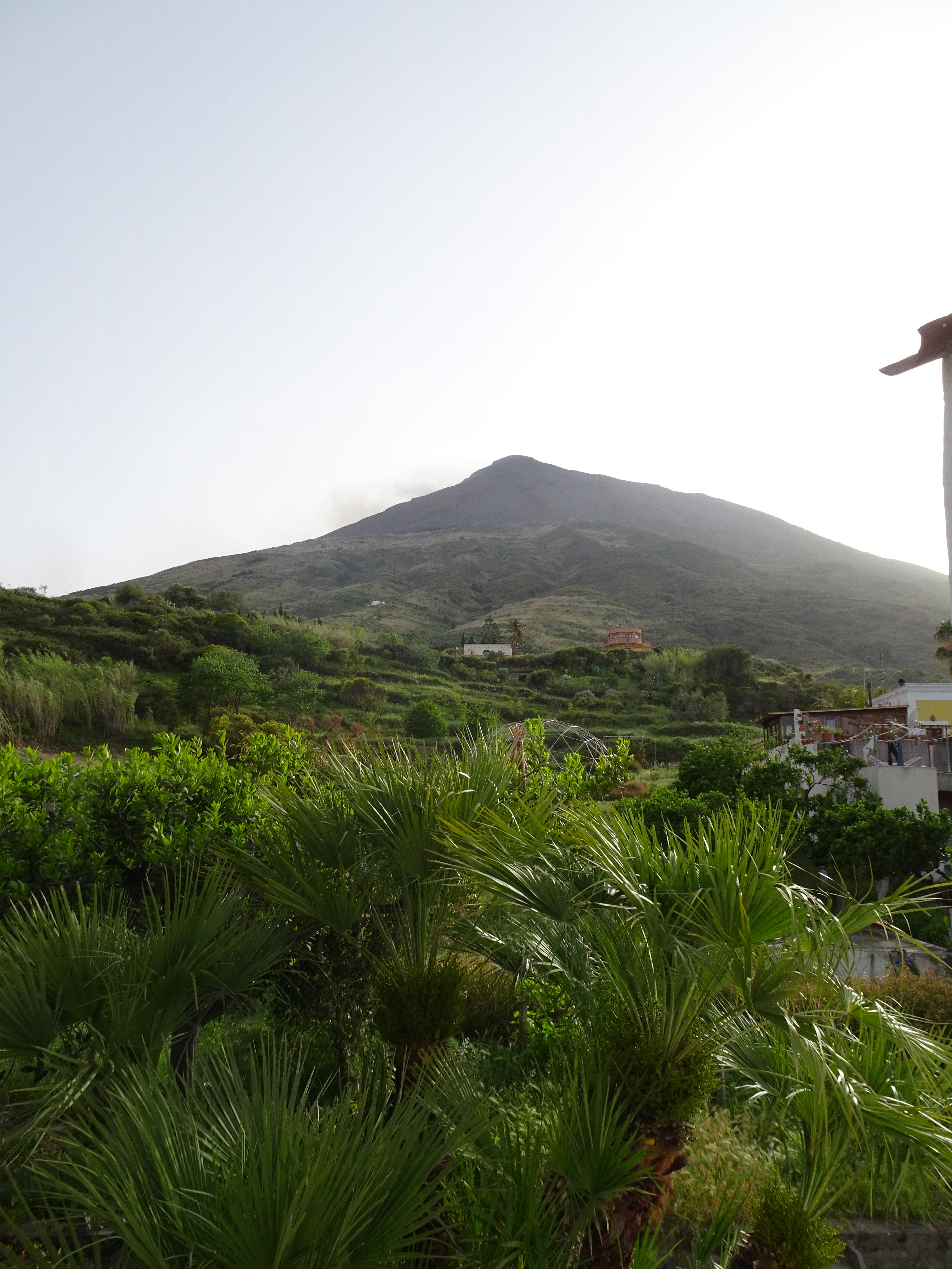 Stromboli from my garden
