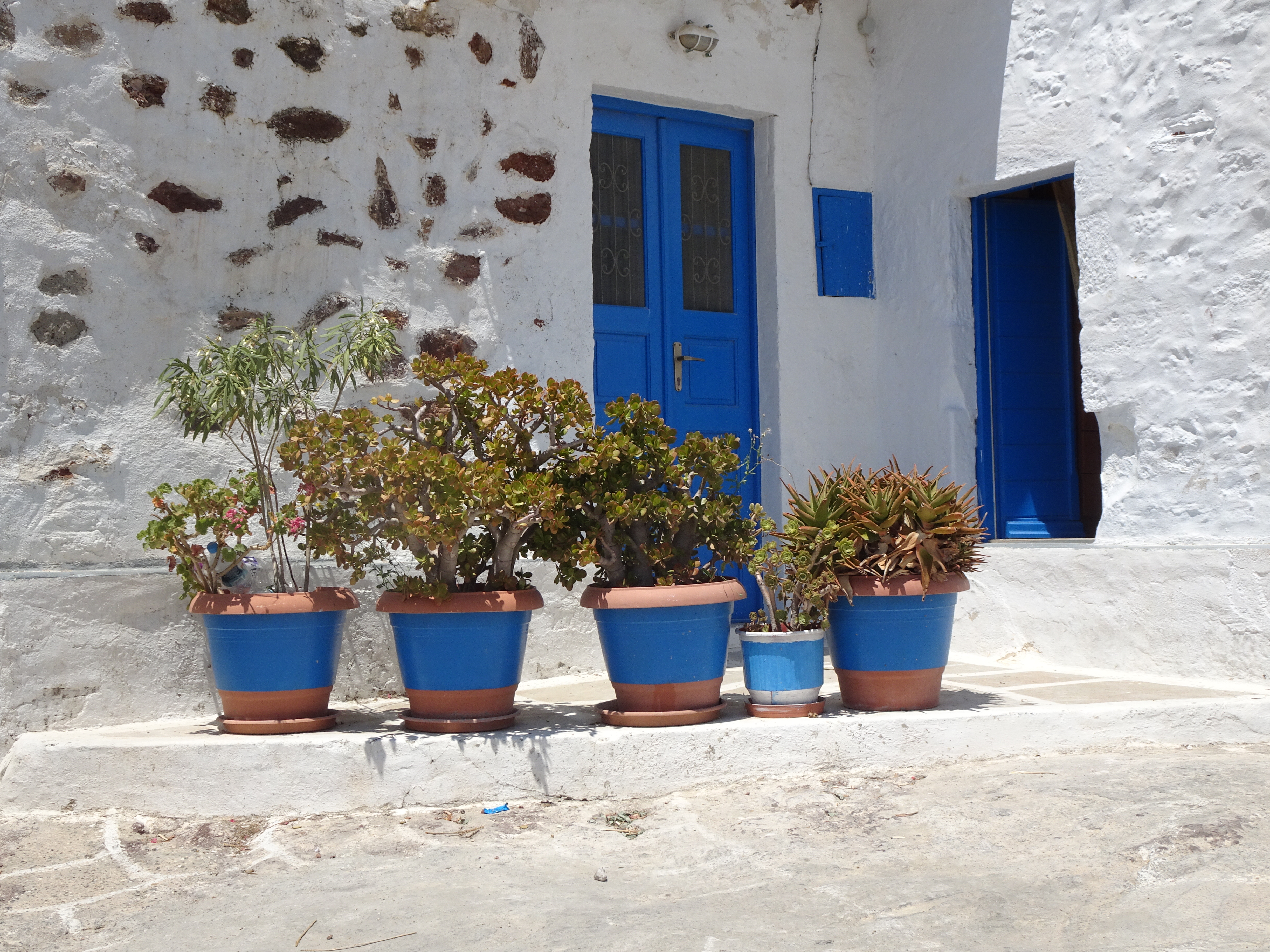 Blue and white pots