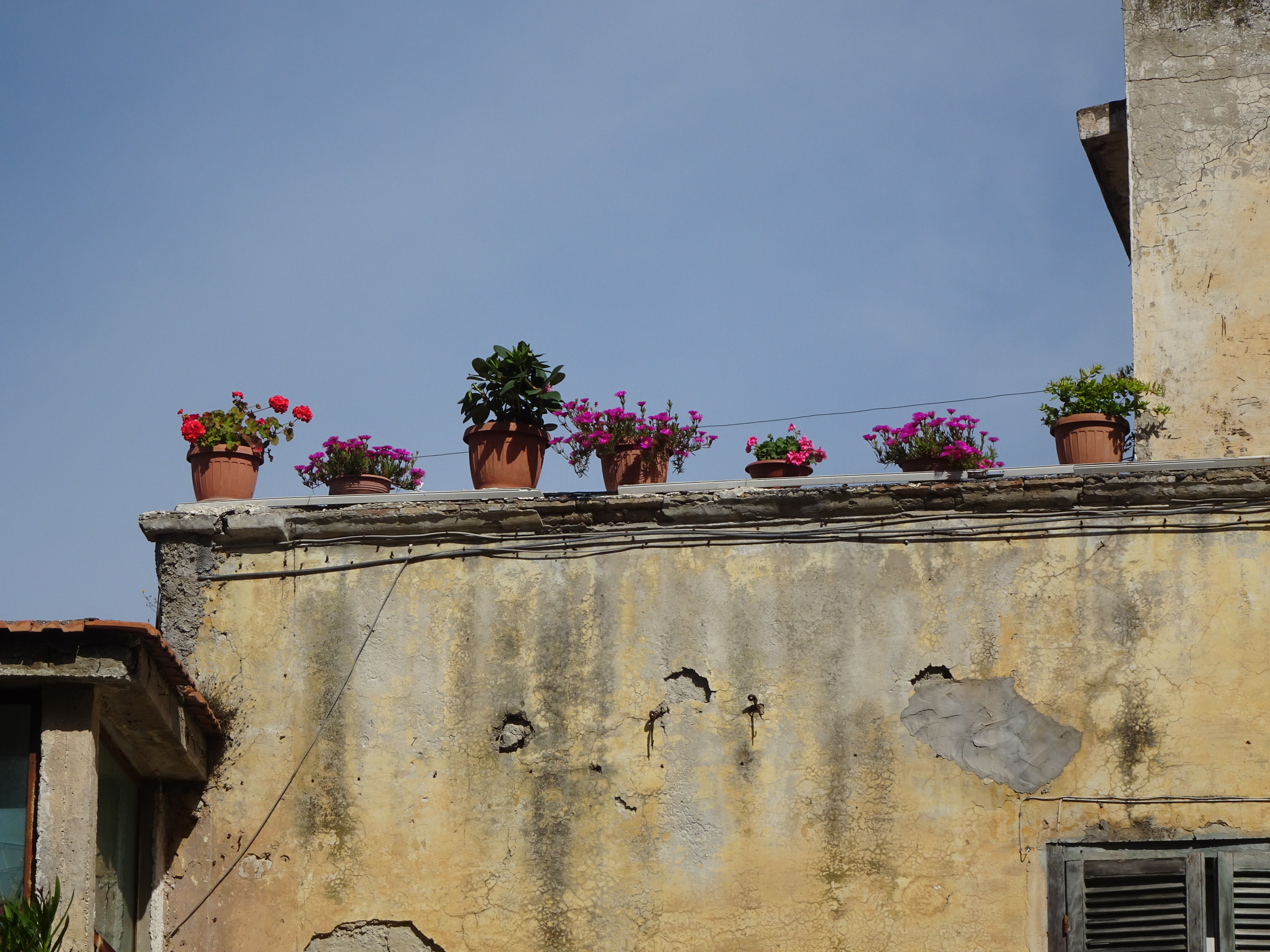 flowerpots