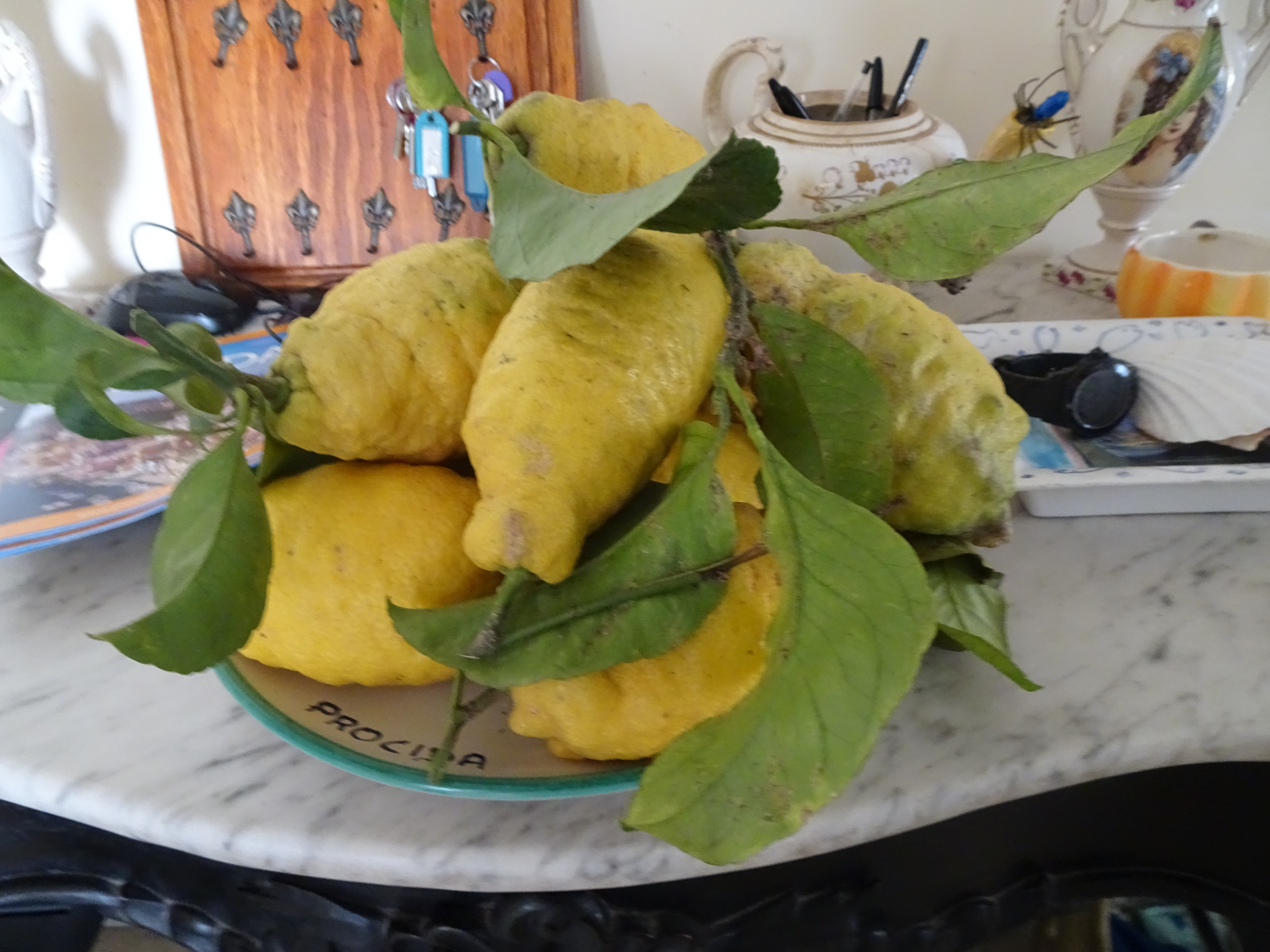 Enormous lemons
