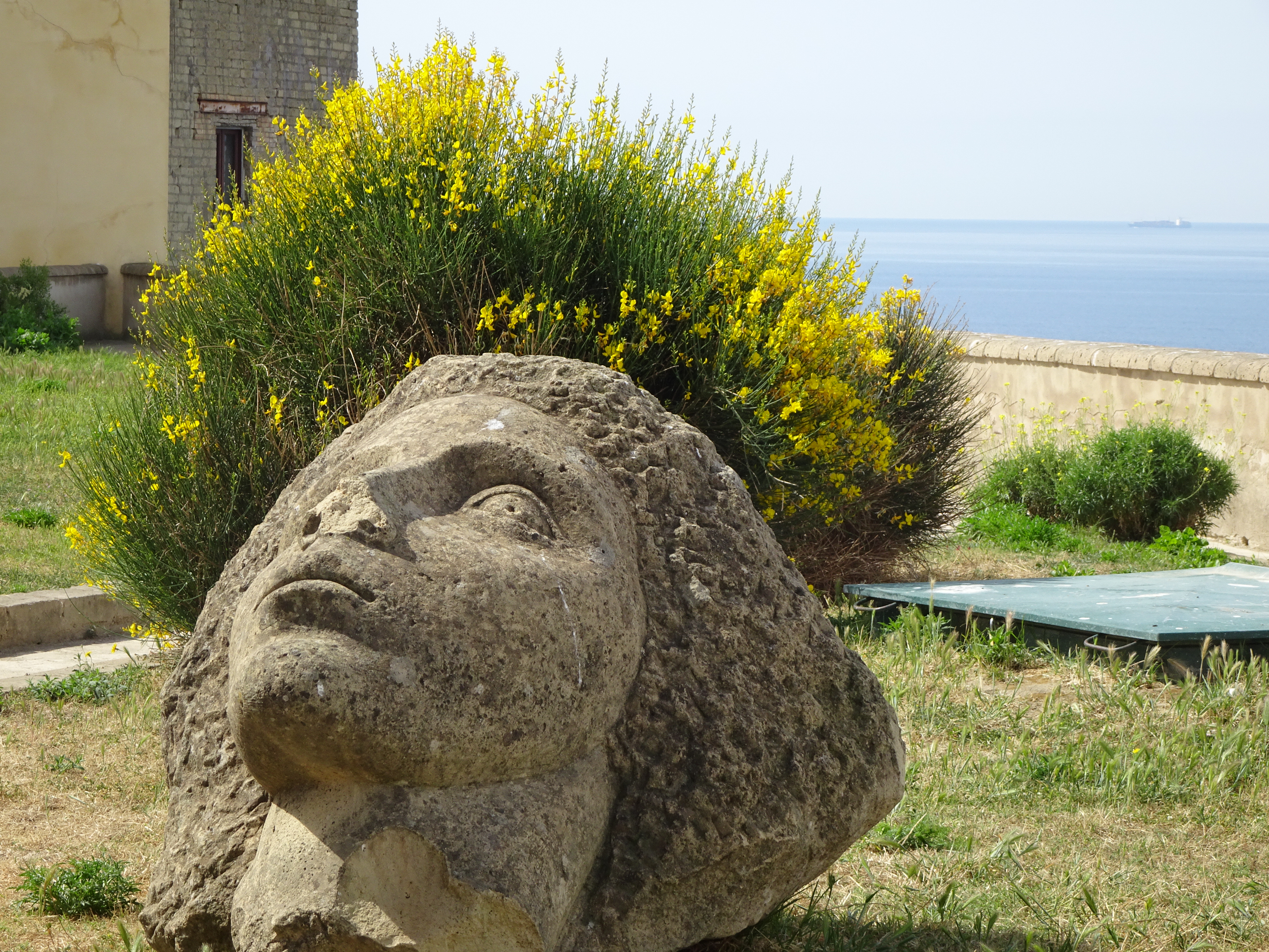 stone head
