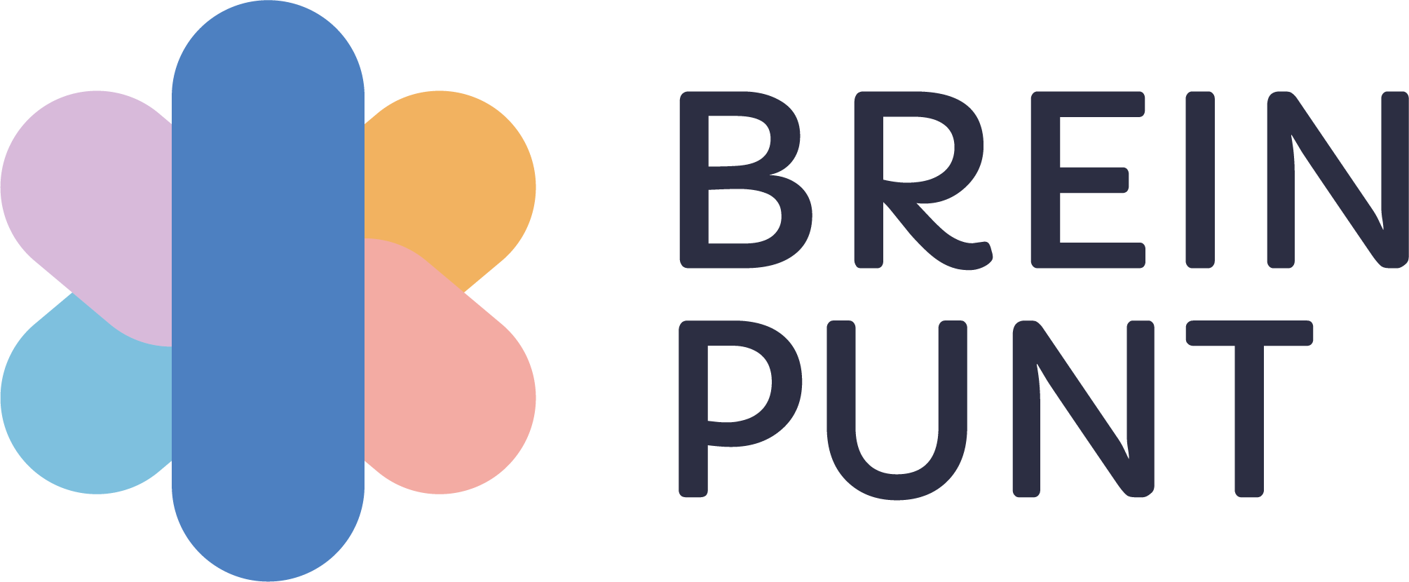 logo breinpunt