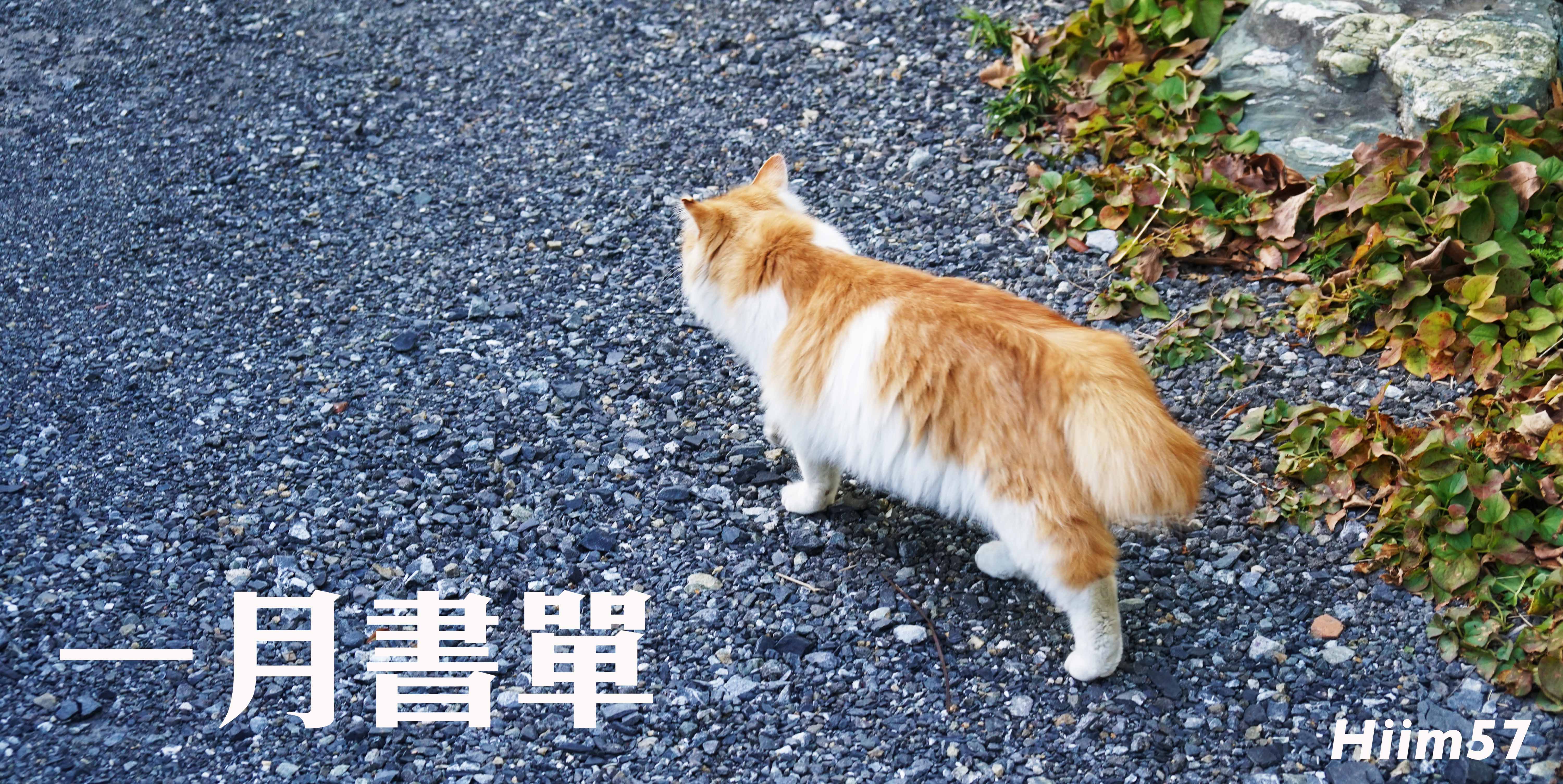 2018書單.Jan｜房思琪的初戀樂園、斜槓青年、德米安徬徨少年時、別讓我走