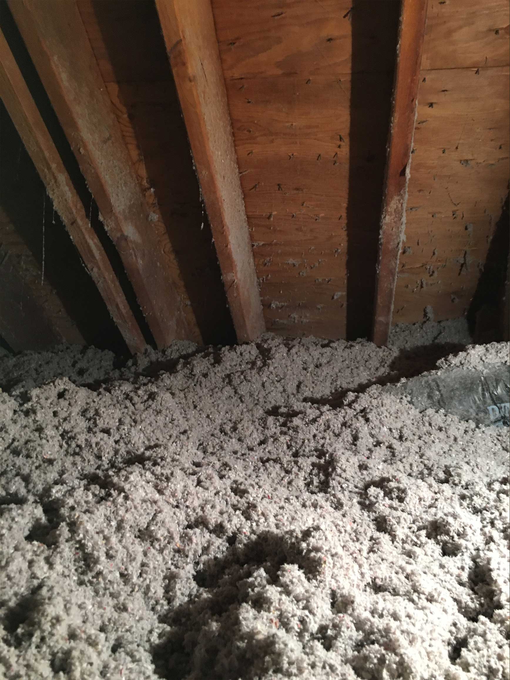 atticinsulation1
