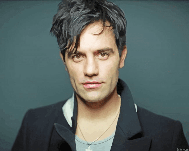 Actor Ramin Karimloo Diamond Paitntings