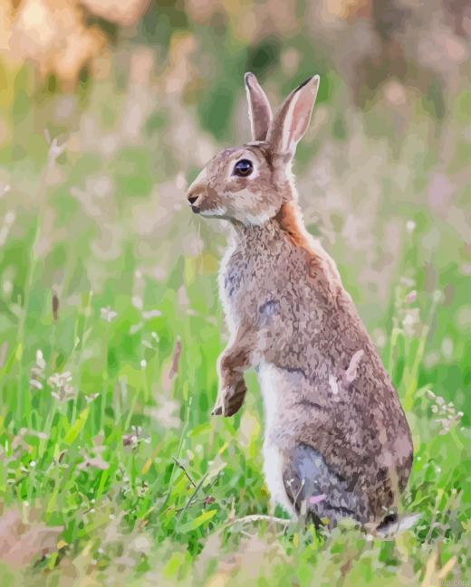 European Rabbit Diamond Painting.png