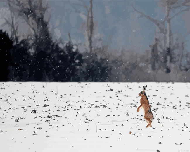 Rabbit Dancing In Snow 5D Diamond Painting