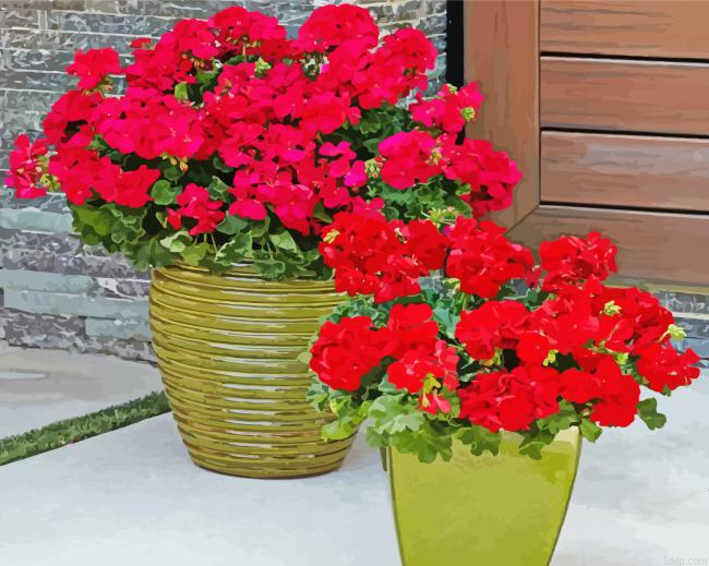 Red Geraniums In Pots Diamond Painting