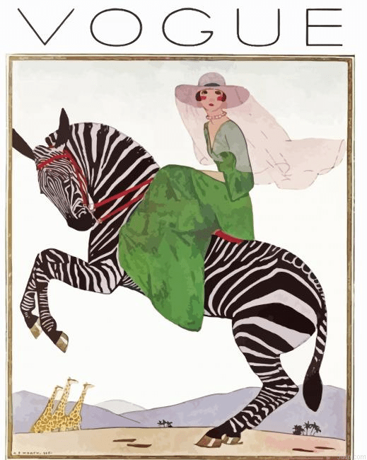 Woman Riding Zebra Poster 5D Diamond Painting