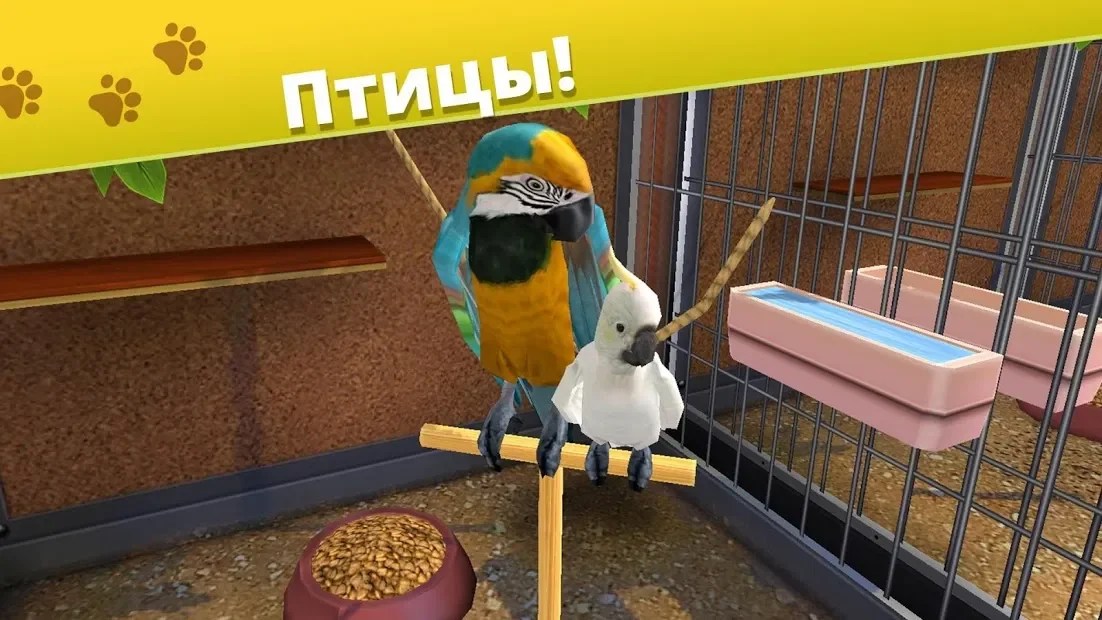 V0.61 156.4 mb xapk apks. Download Petworld Animal Shelter 5 6 12 Apk Mod Free Shopping For Android