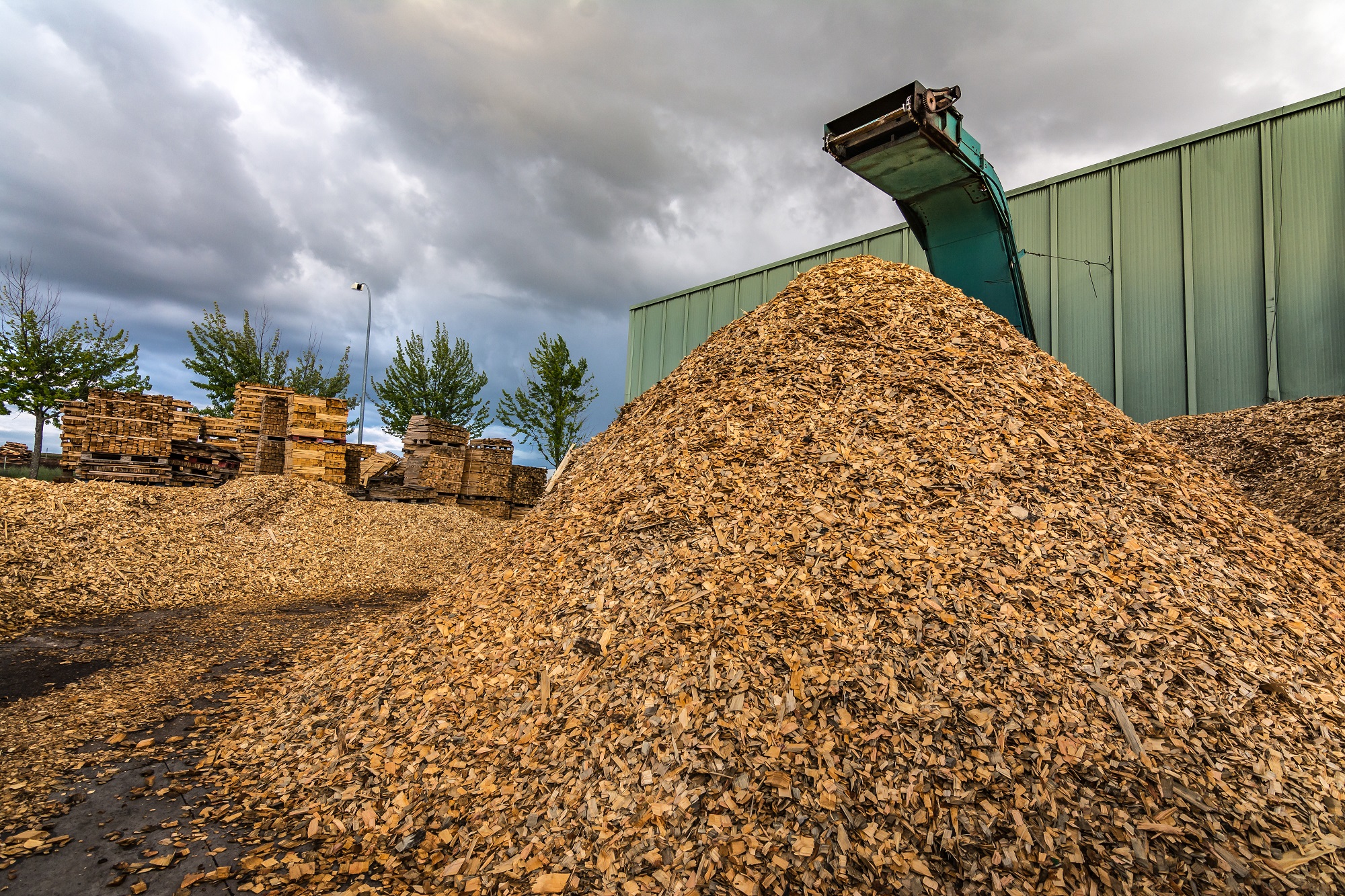 Crushing machine of wood and logs to process waste and transform