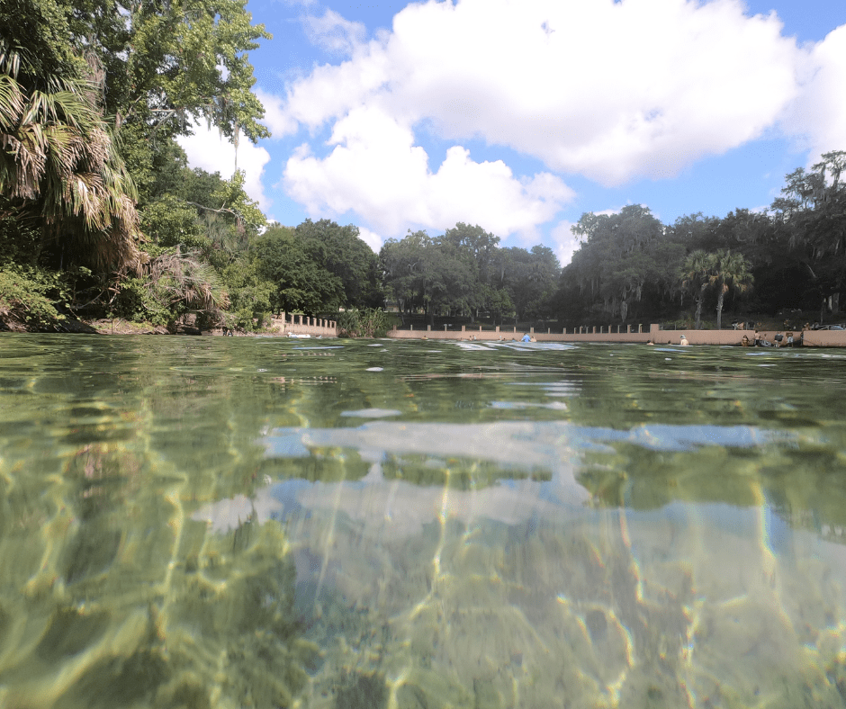 Exploring the Beautiful Salt Springs Recreation Area in Ocala National