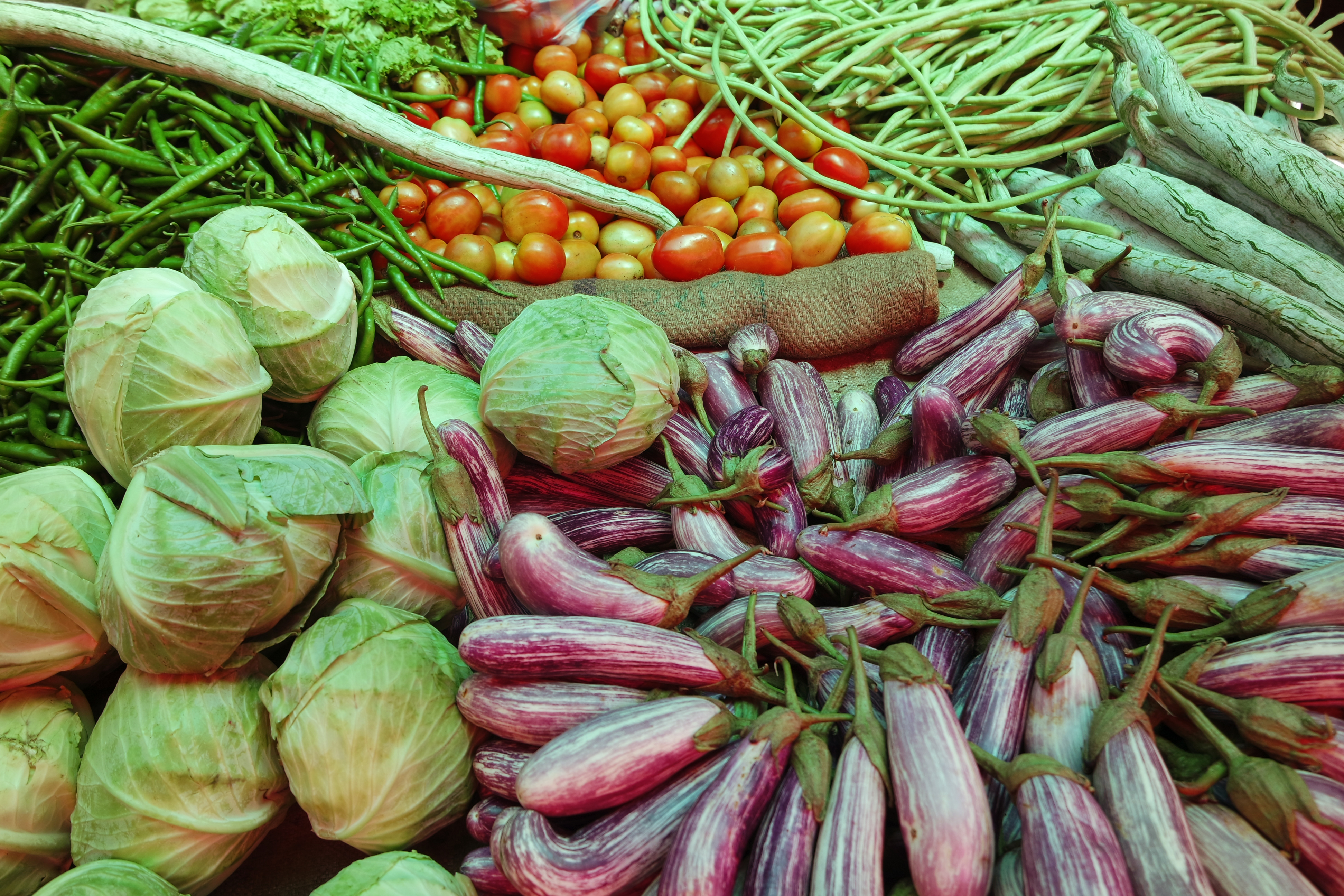 SAMSUNG CAMERA PICTURES