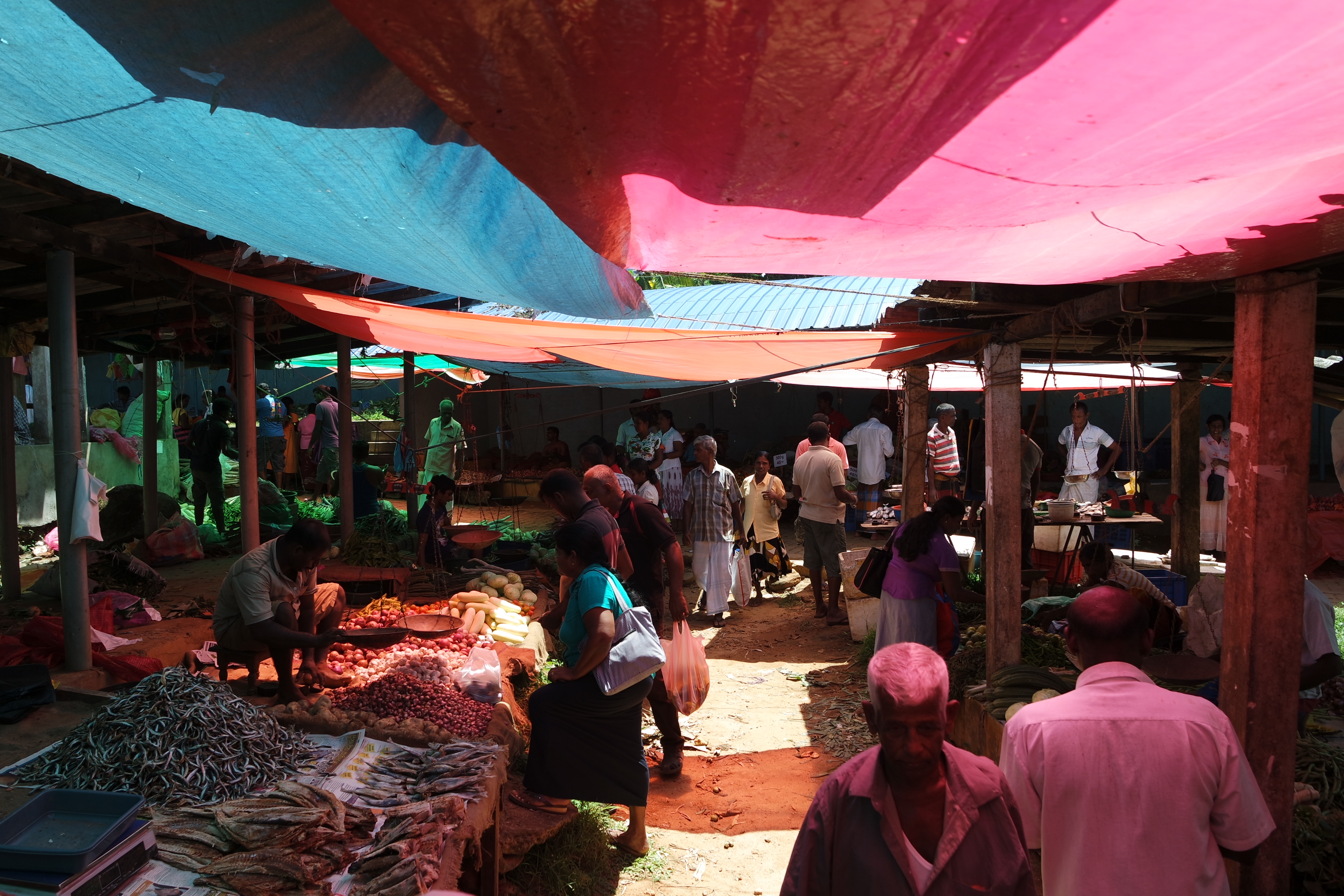 SAMSUNG CAMERA PICTURES