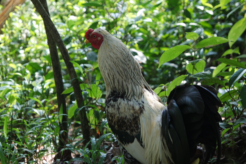 SAMSUNG CAMERA PICTURES