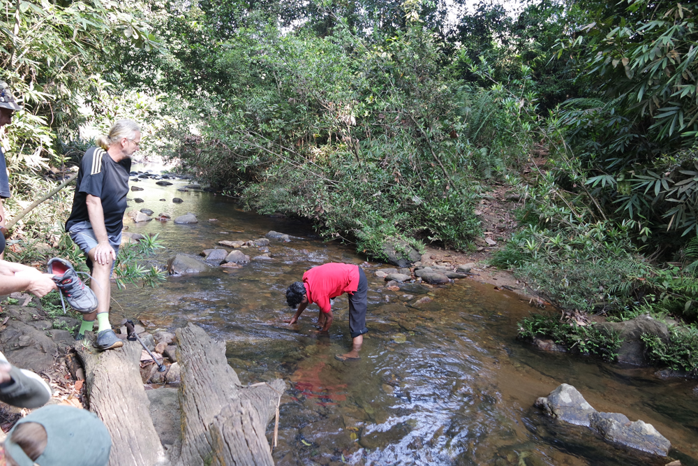 SAMSUNG CAMERA PICTURES