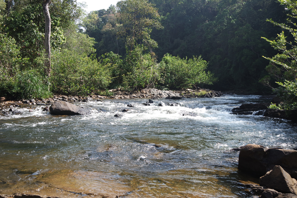 SAMSUNG CAMERA PICTURES