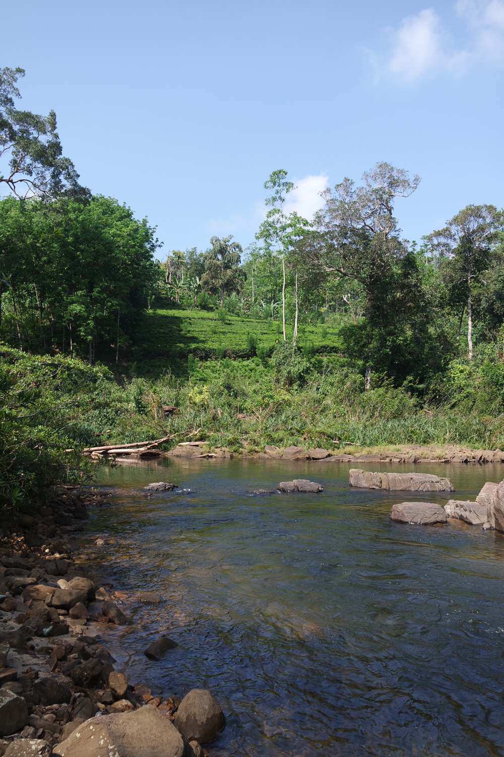 SAMSUNG CAMERA PICTURES