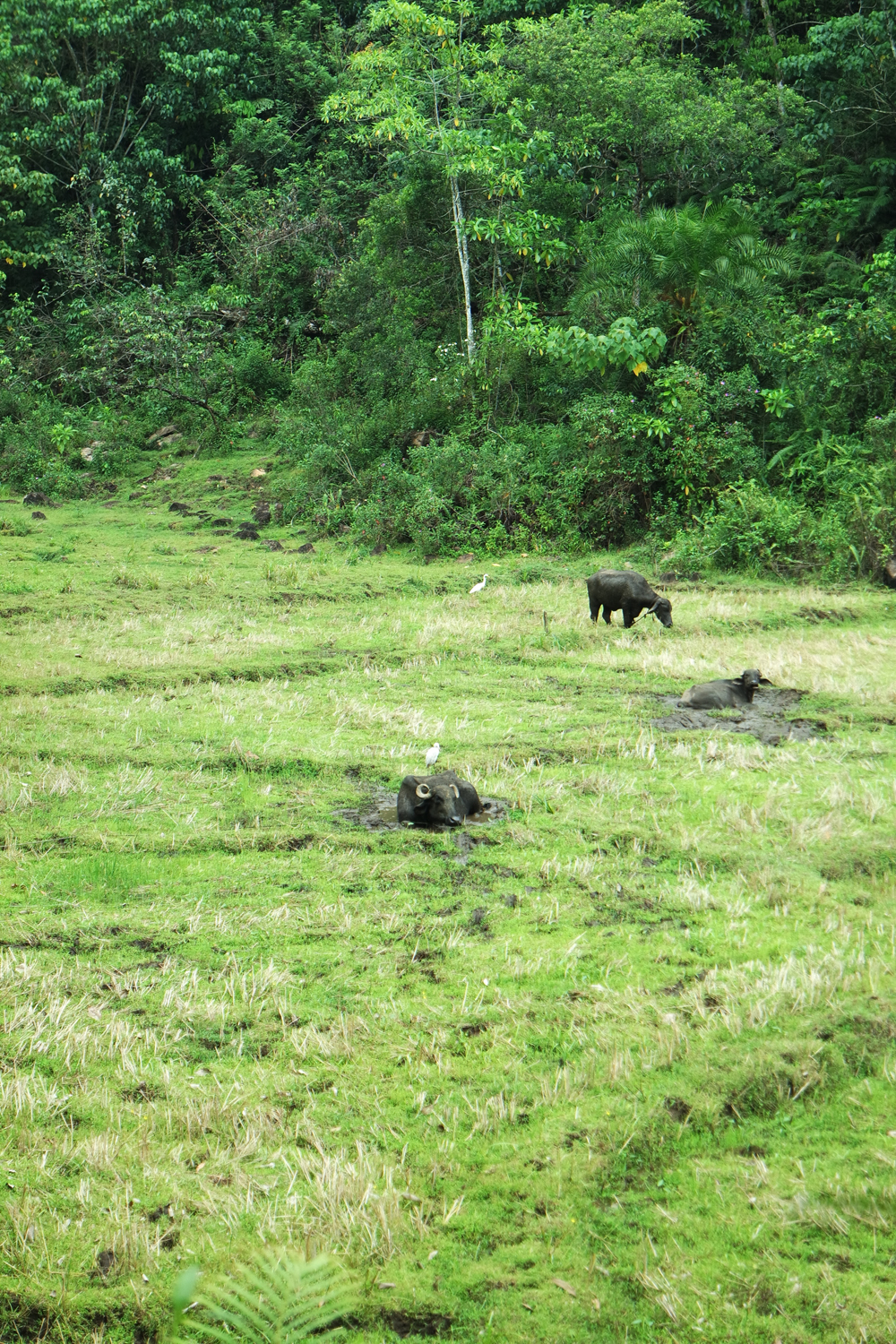 SAMSUNG CAMERA PICTURES