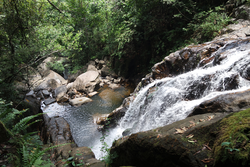 SAMSUNG CAMERA PICTURES