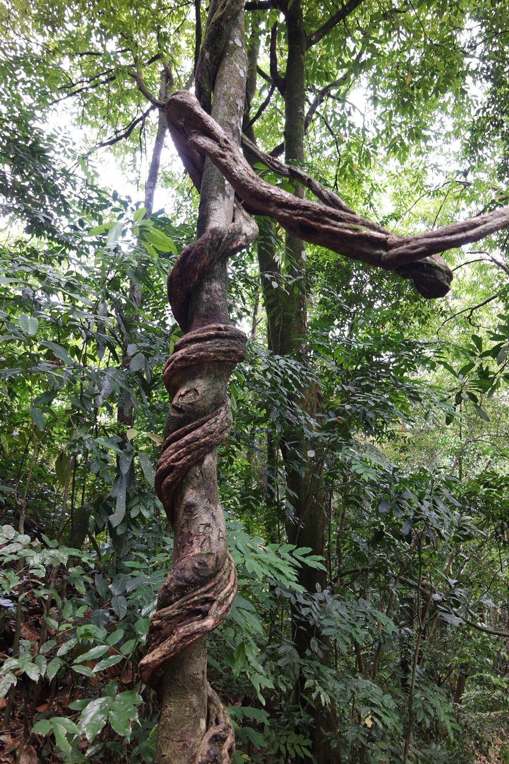 SAMSUNG CAMERA PICTURES