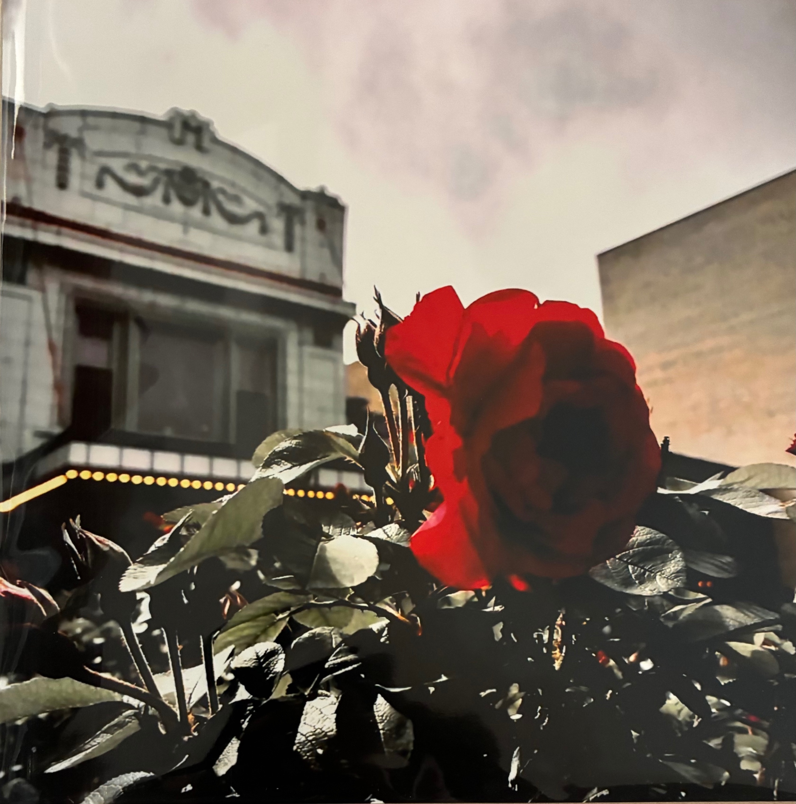 400Rose - laser print