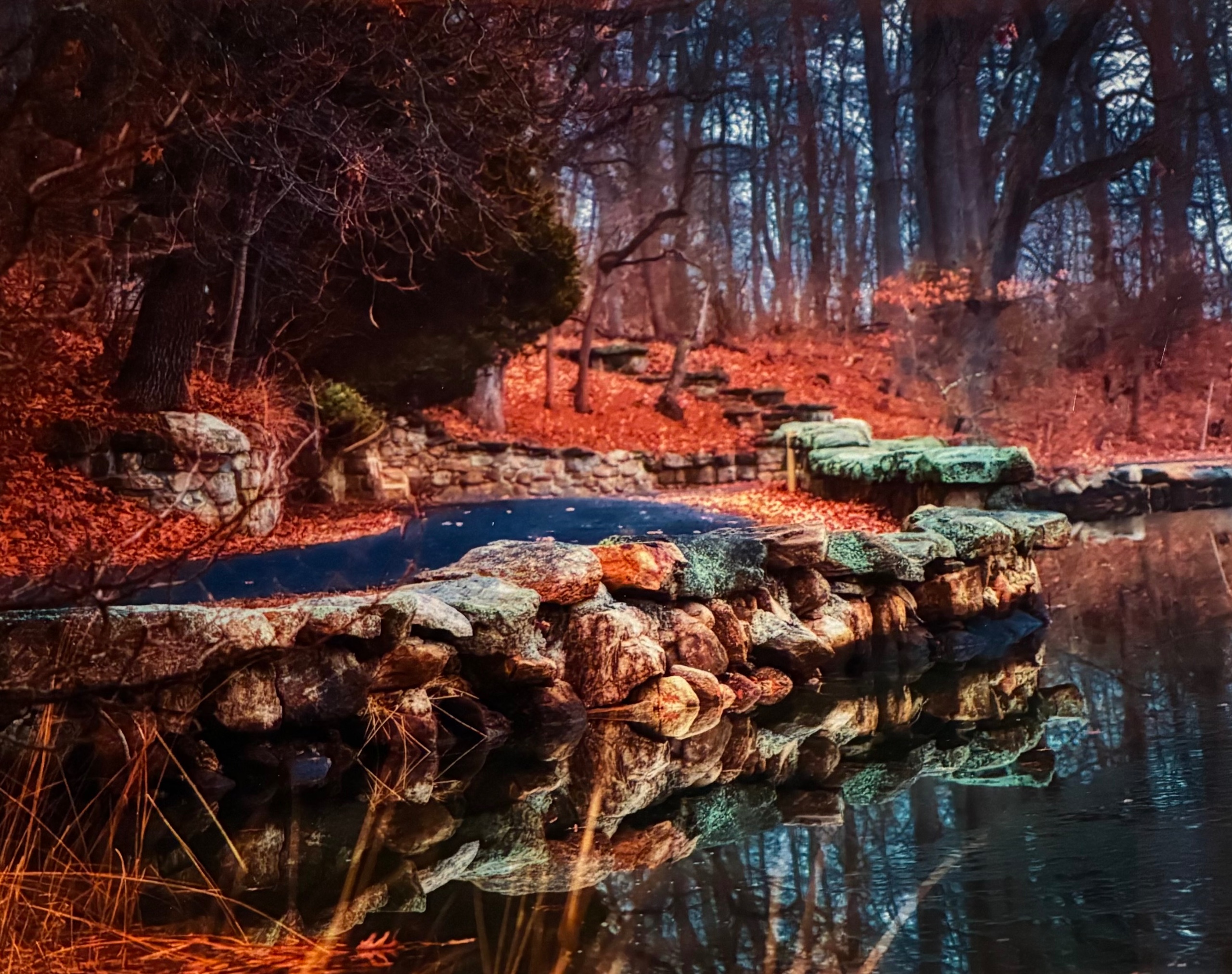 Beautiful Nature