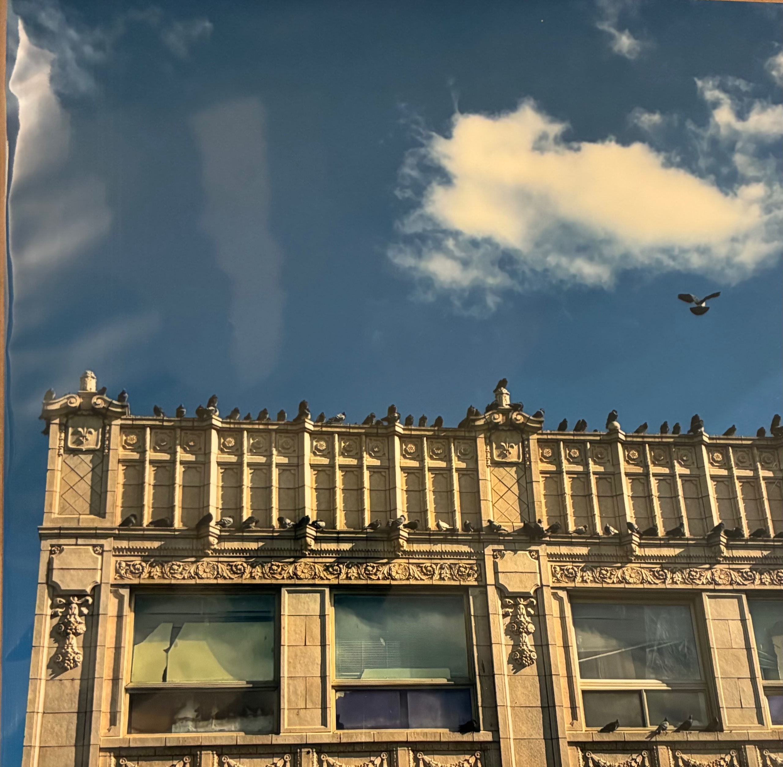 Devon Ave - laser print