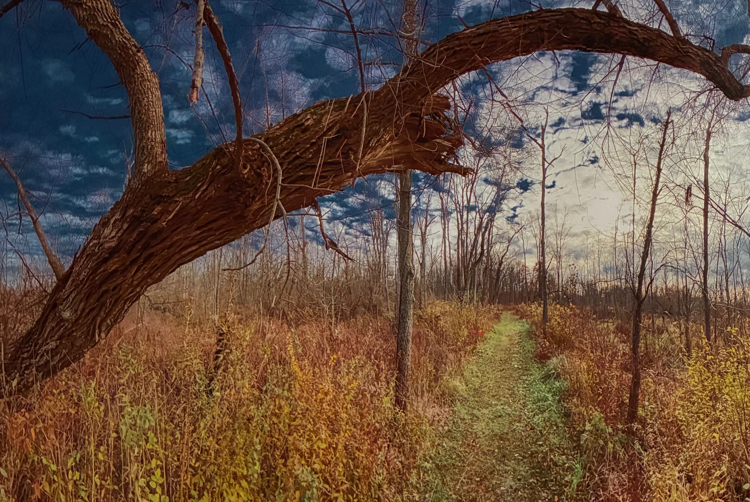 Gatekeeper - print