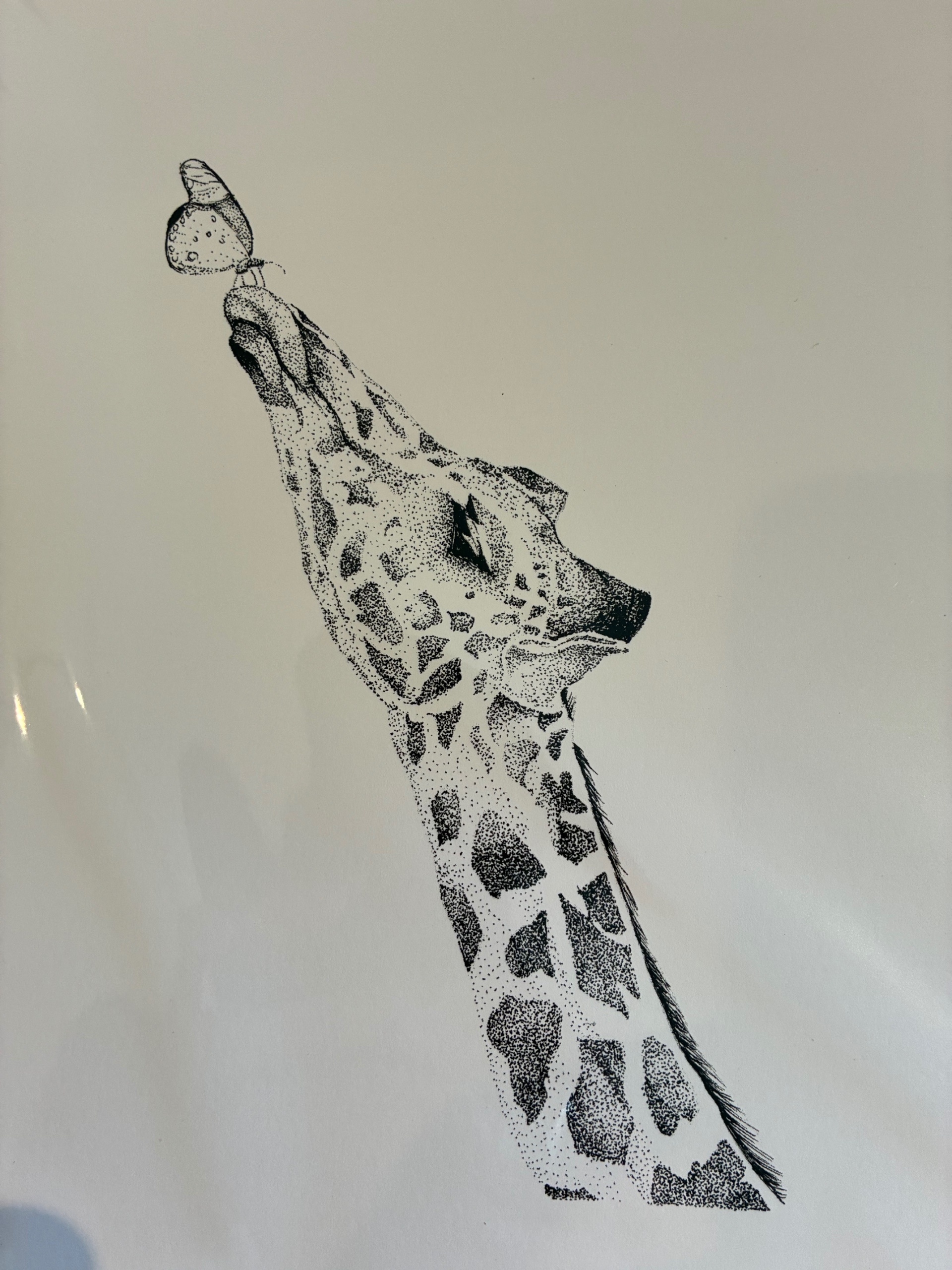 Giraffe and Butterfly