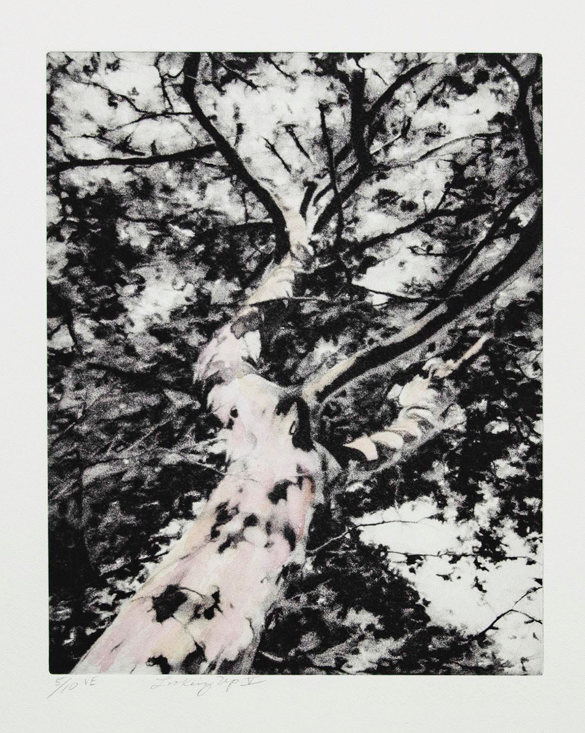 Looking Up V - print