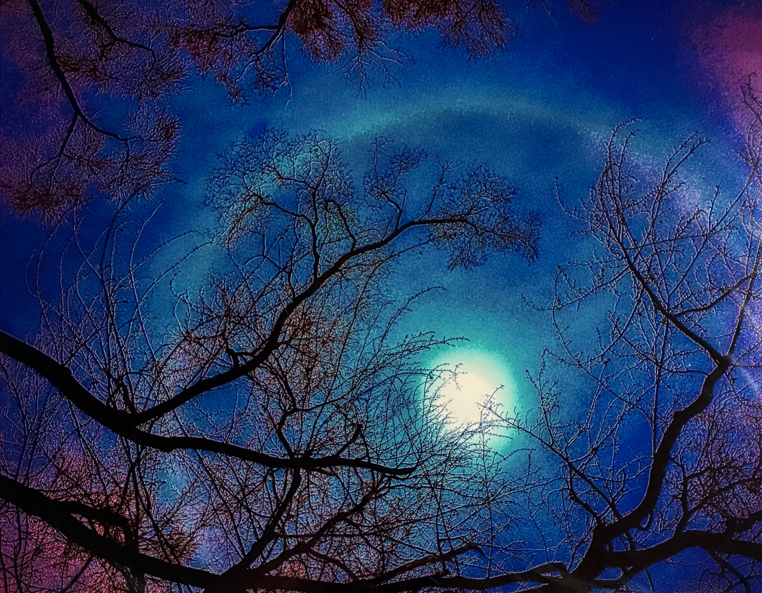 Night Moon