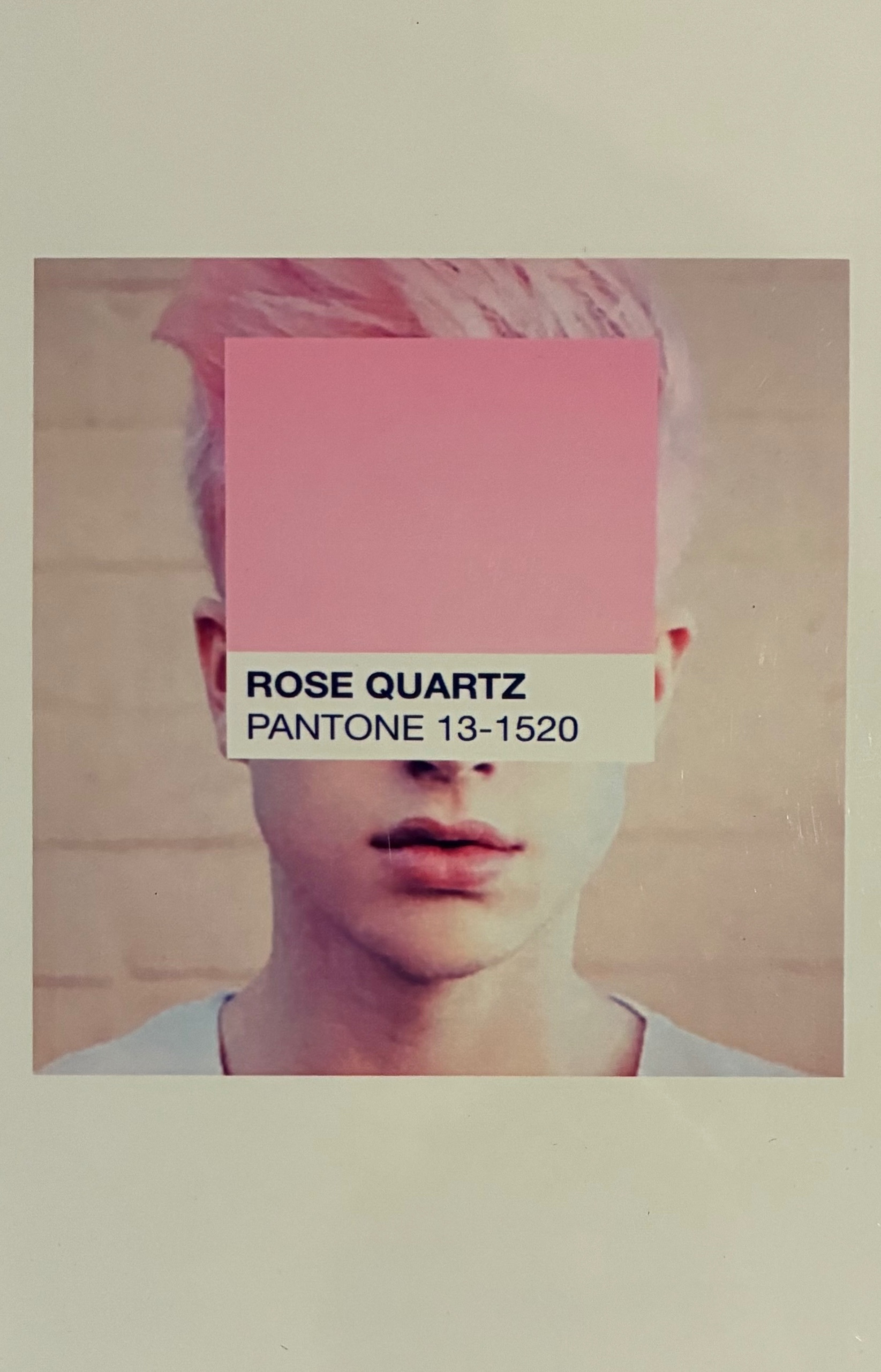 Pantone Back - print