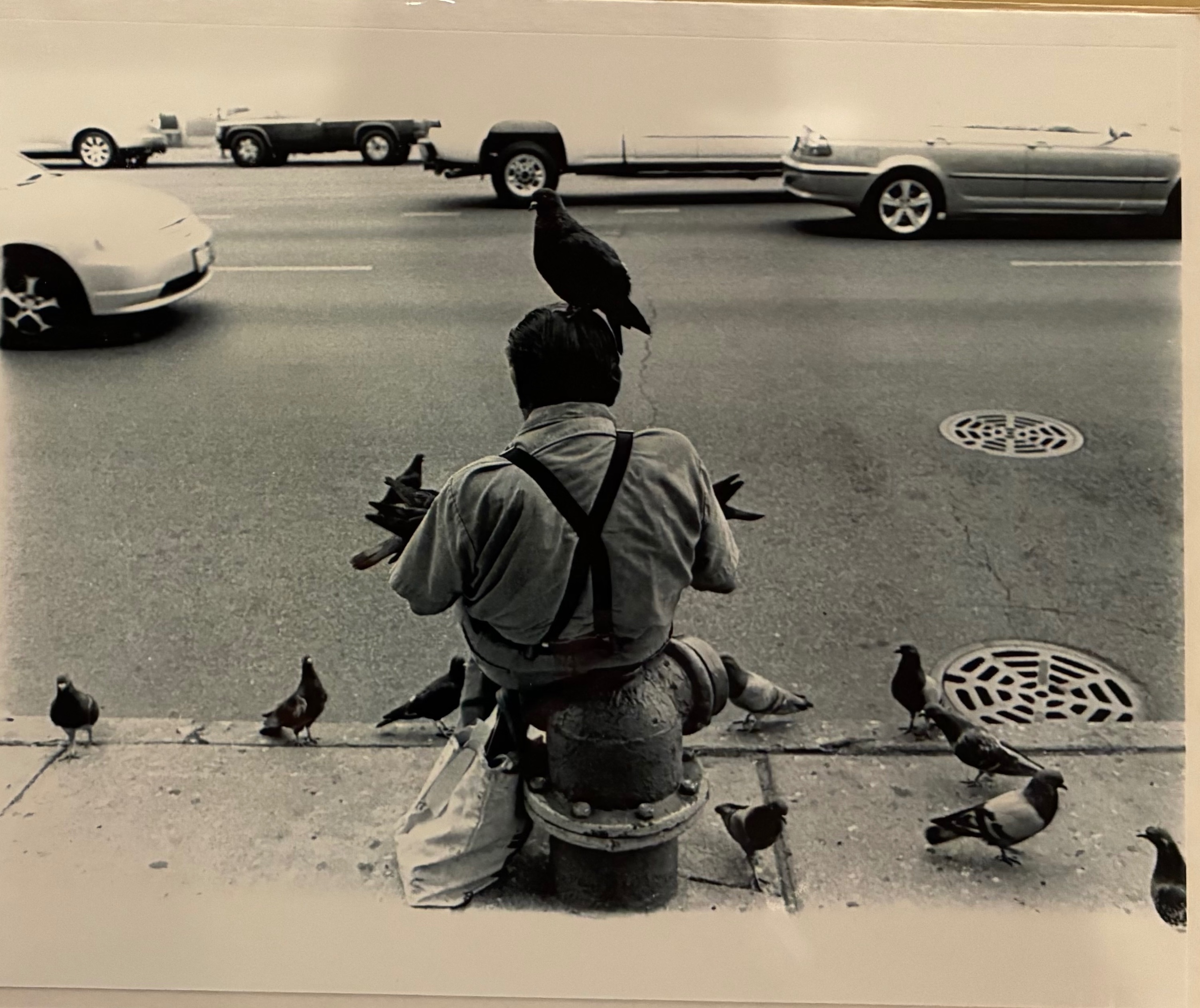 Pigeon Man - print