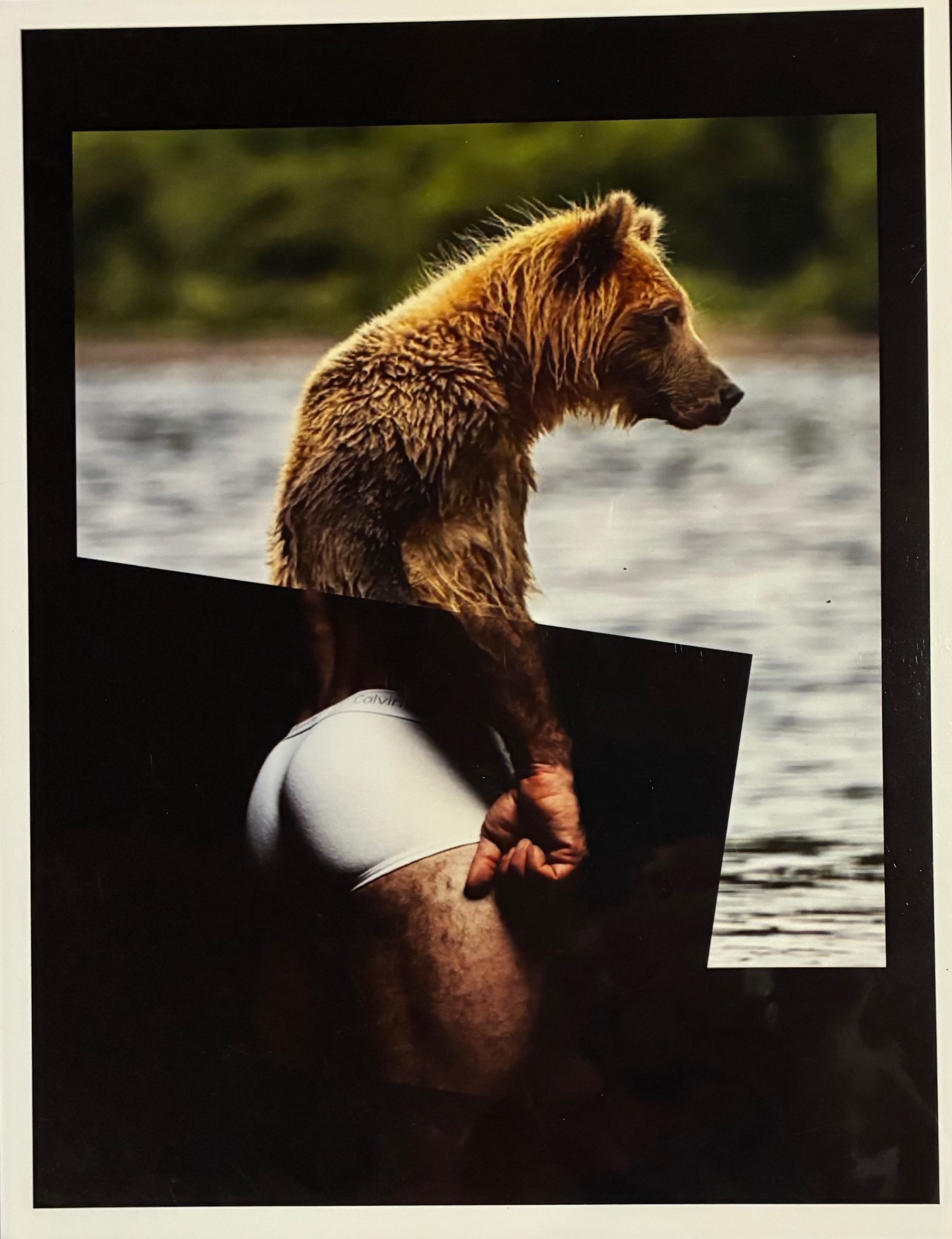 Tighty Whities - print