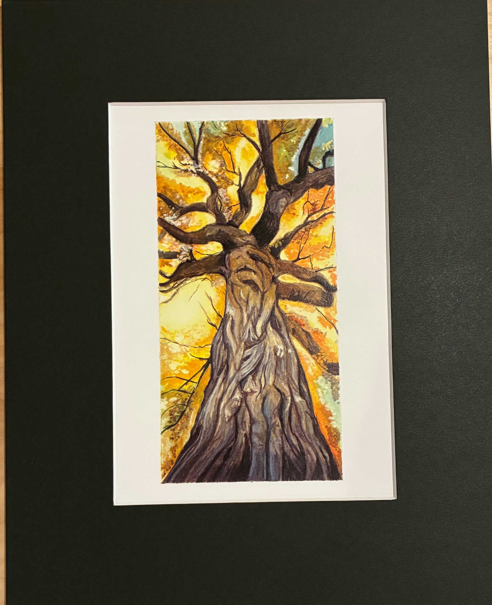 Tree - framed print